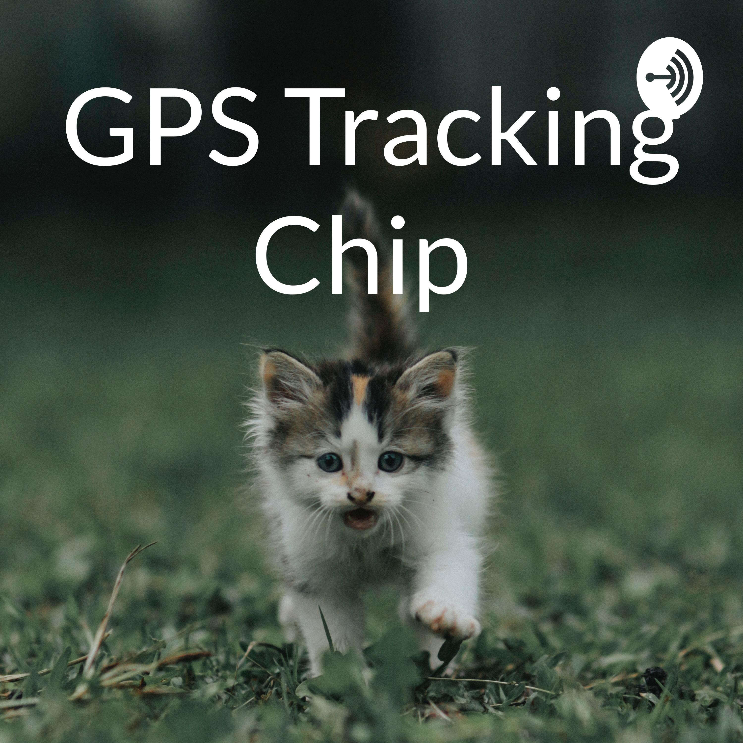 GPS Tracking Chip