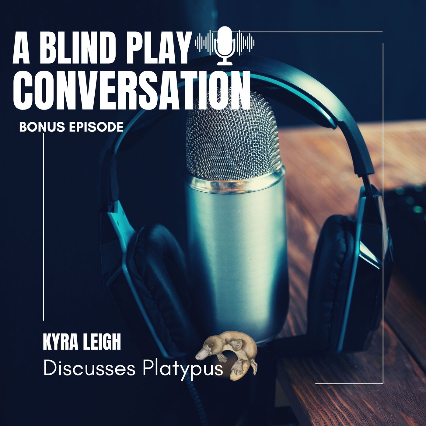 A Blind Play