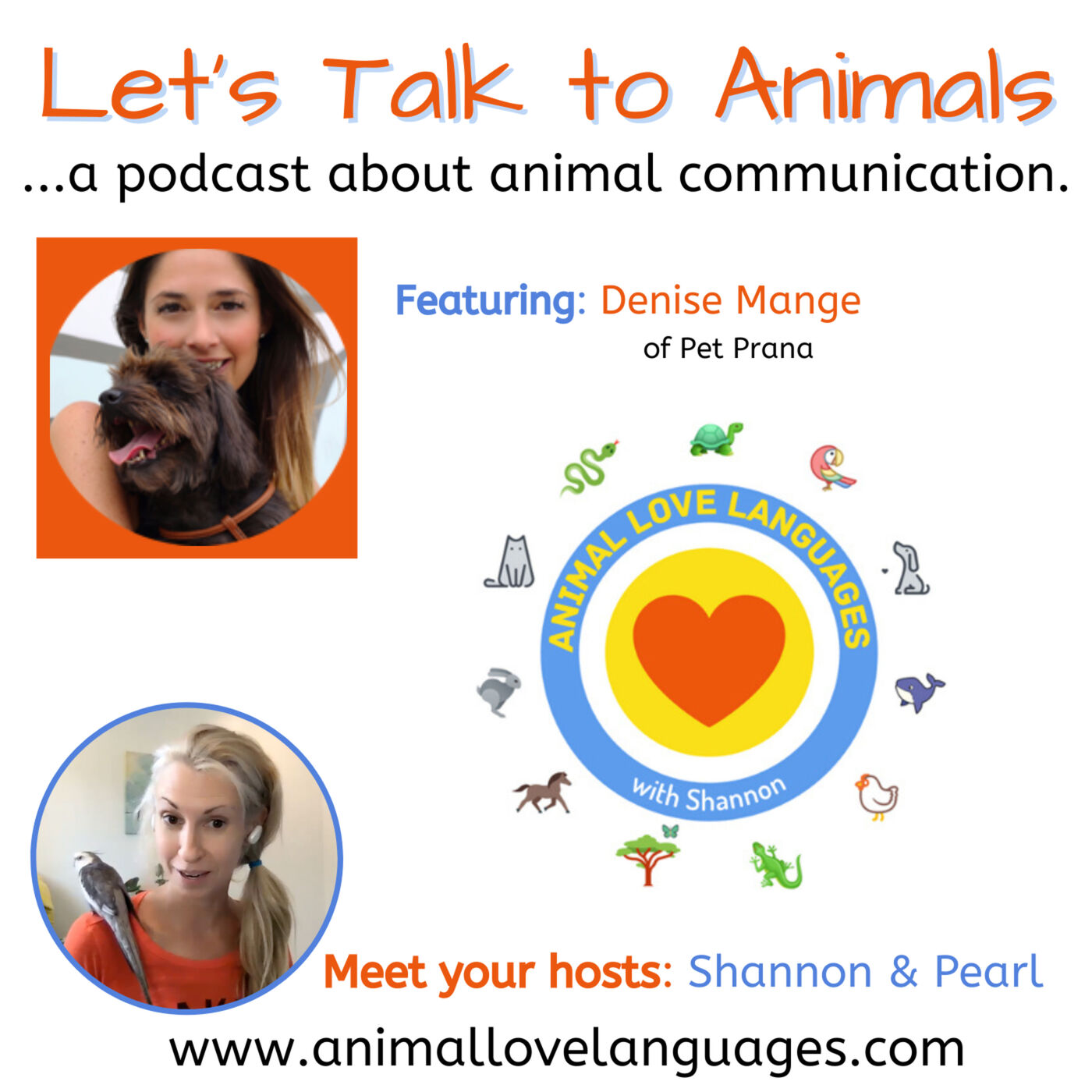 Let\'s Talk to Animals