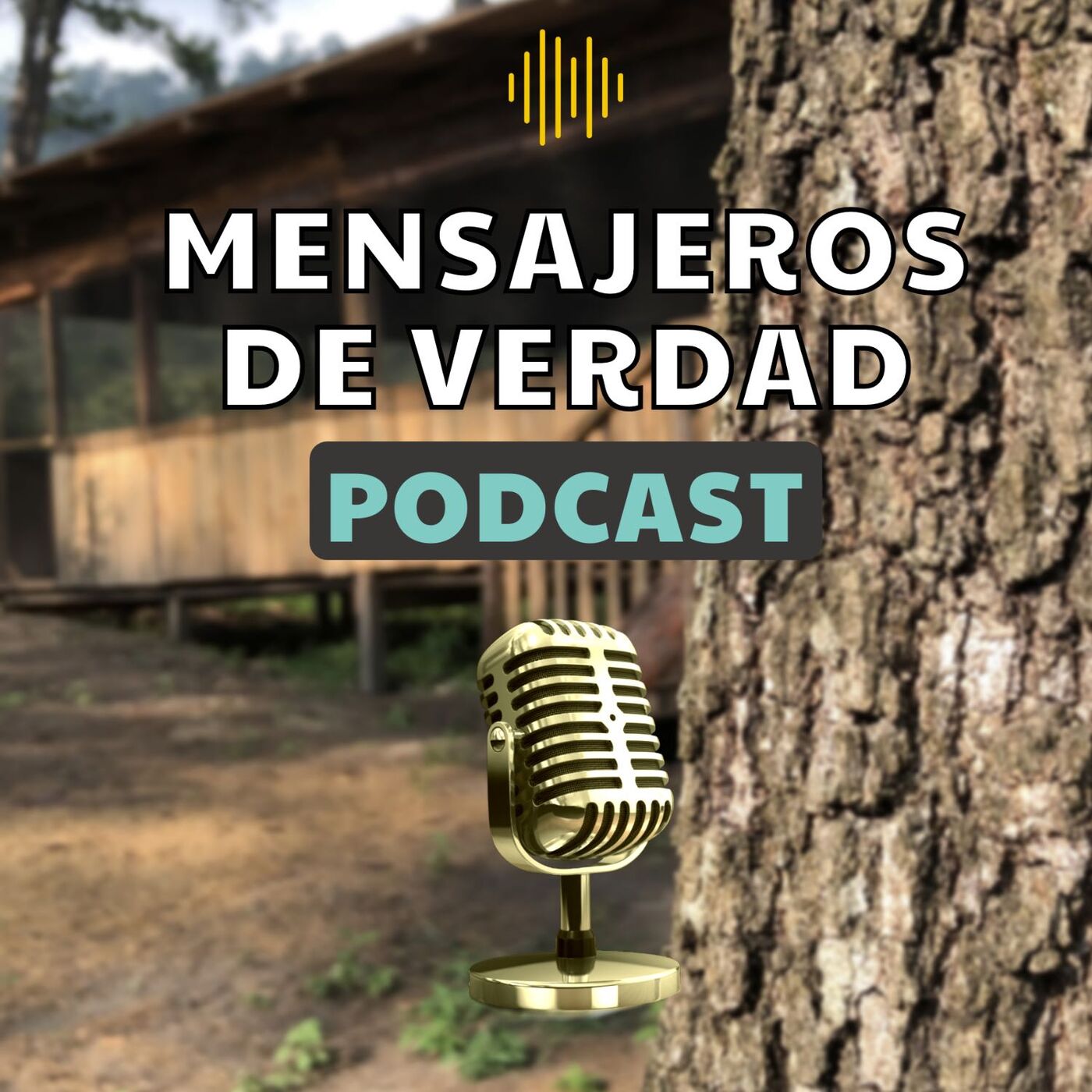 Mensajeros de Verdad podcast artwork