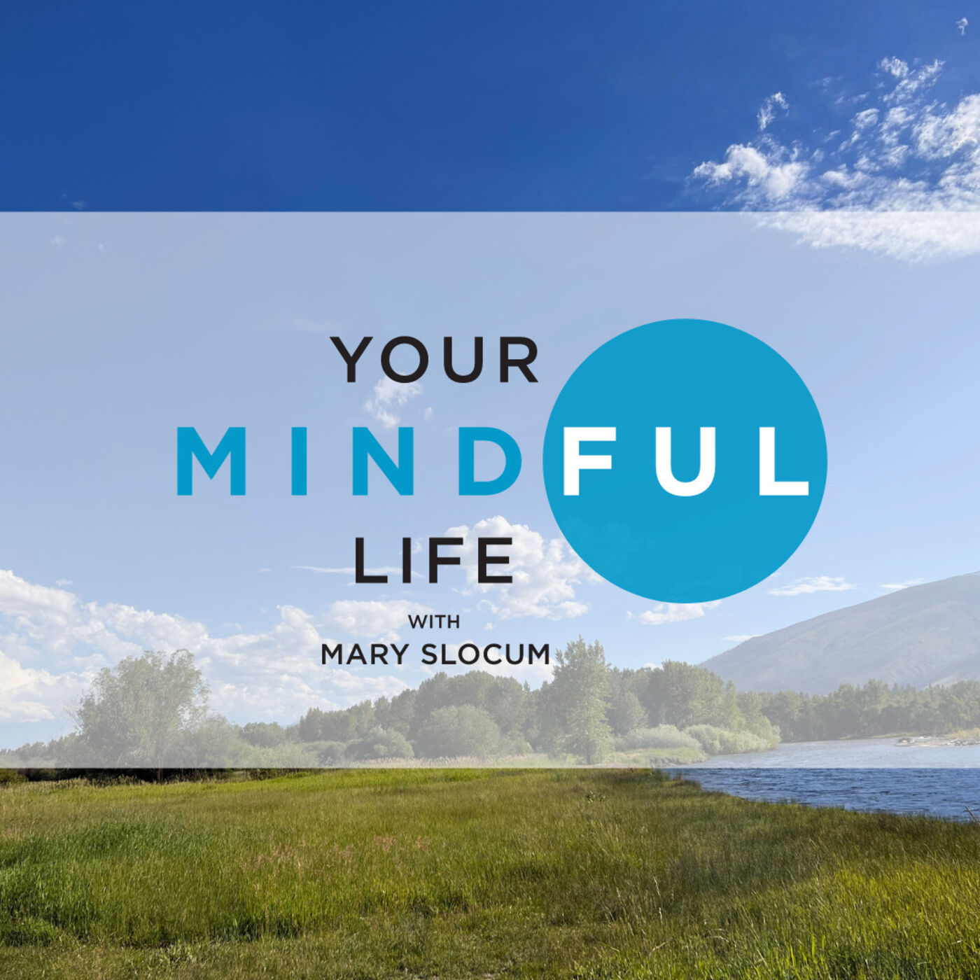 Your Mindful Life