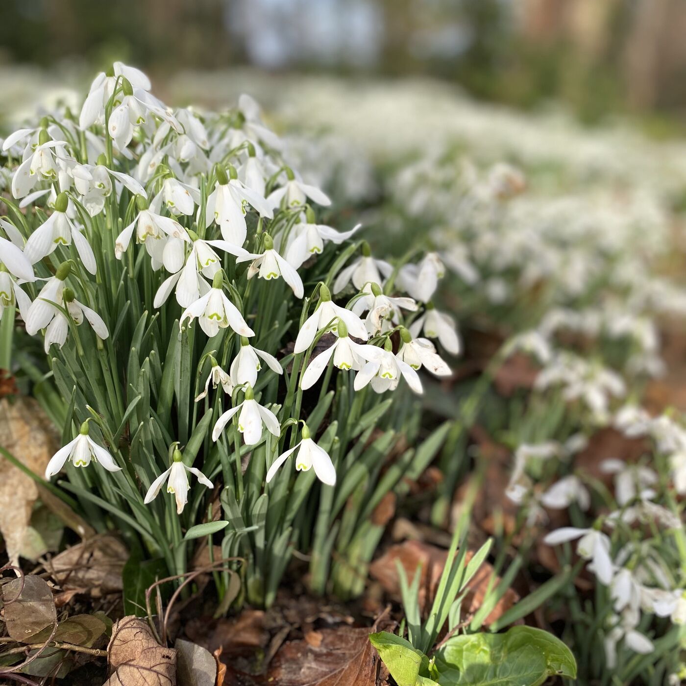 Finding Your Right Mind — with Vanessa Potter