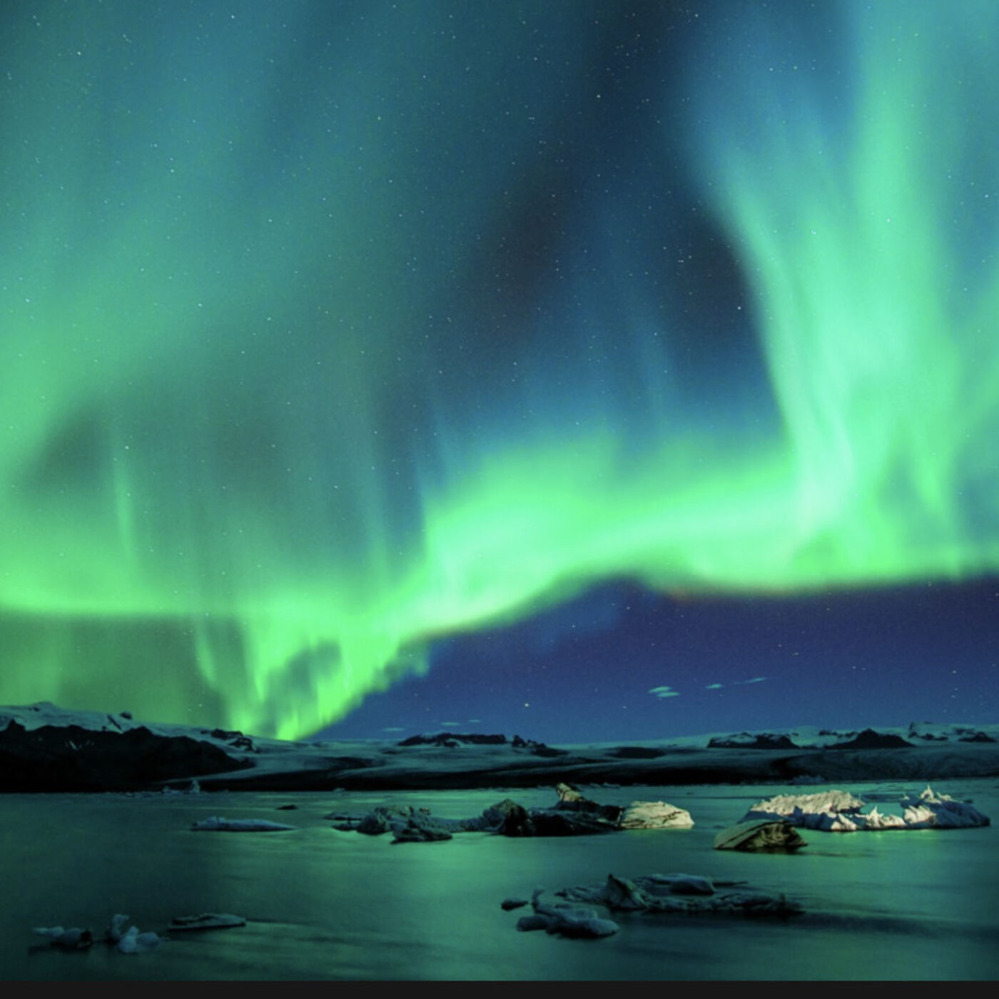 Monday, January 15, 2024 - Beware the grampus!