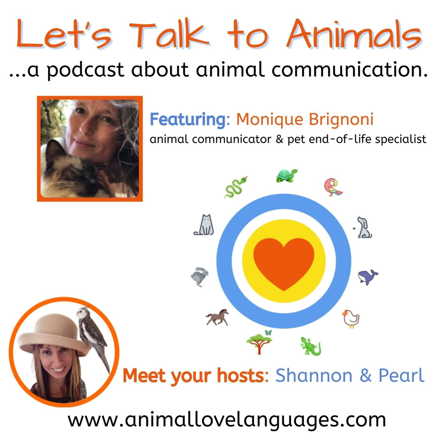 Let\'s Talk to Animals