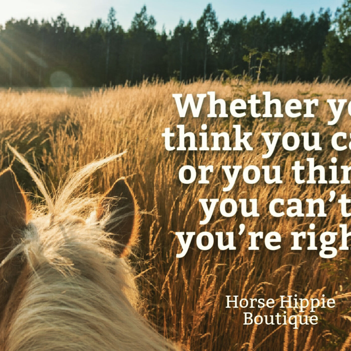 Either Way You’re Right