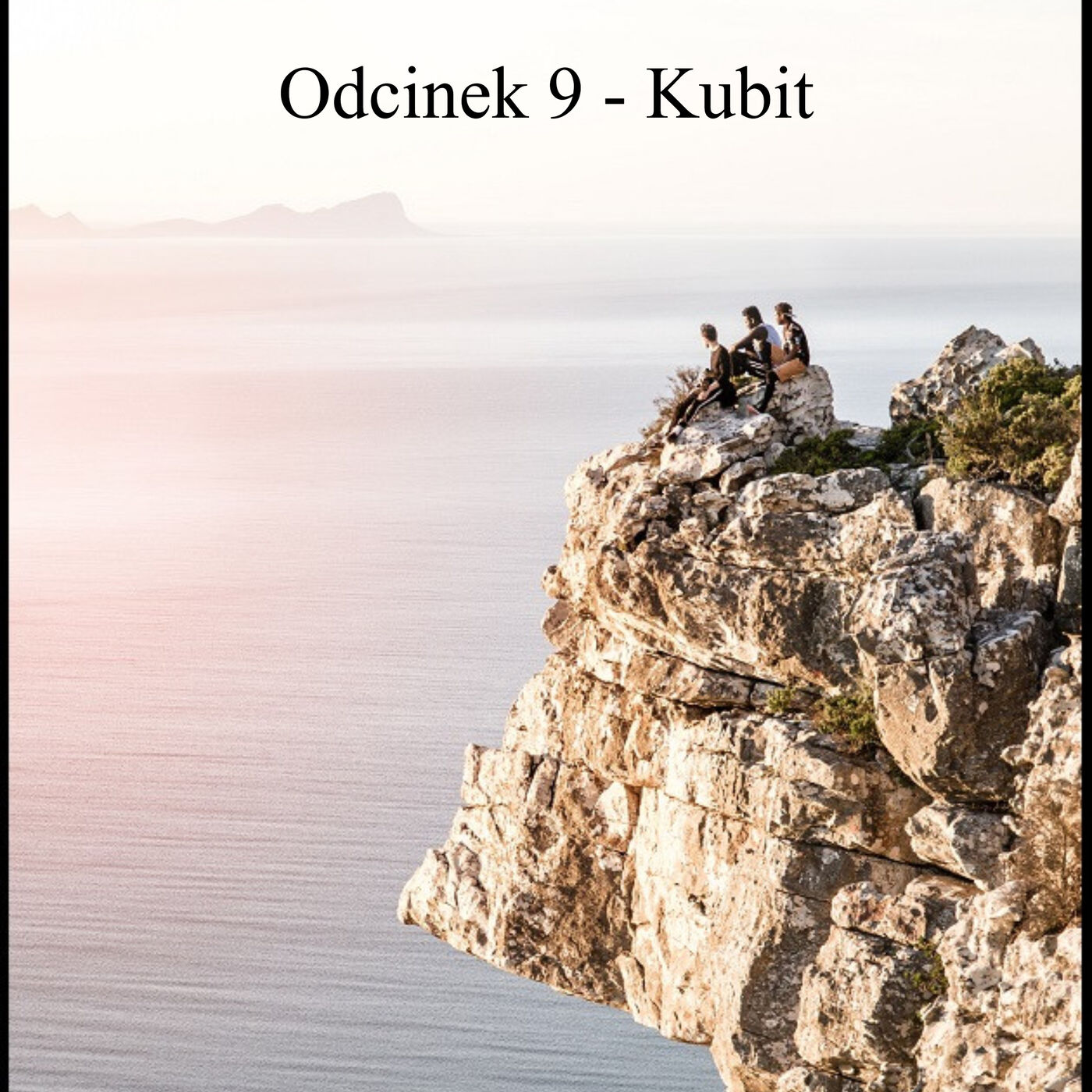 Systemy kubitowe