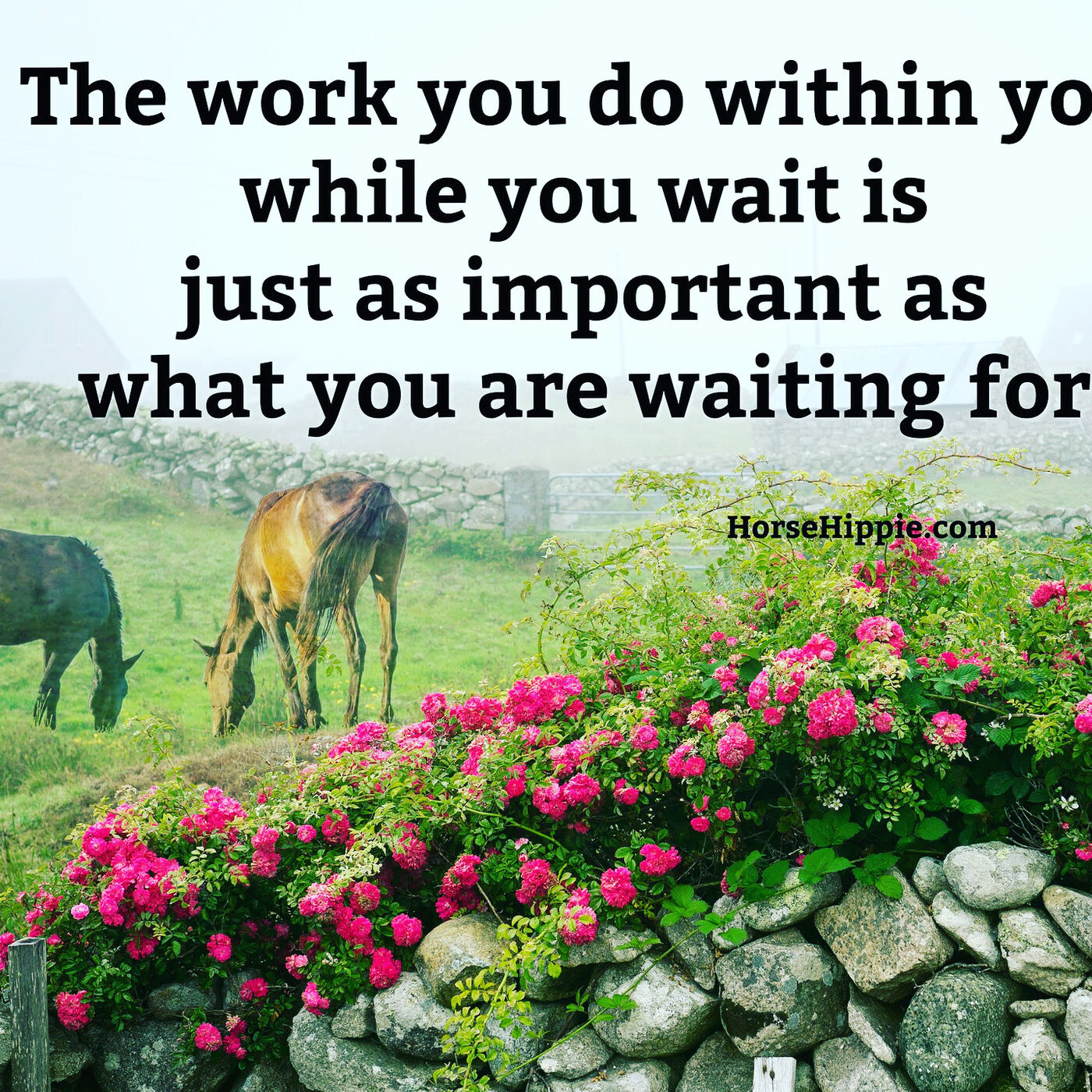 Pruning from you Life