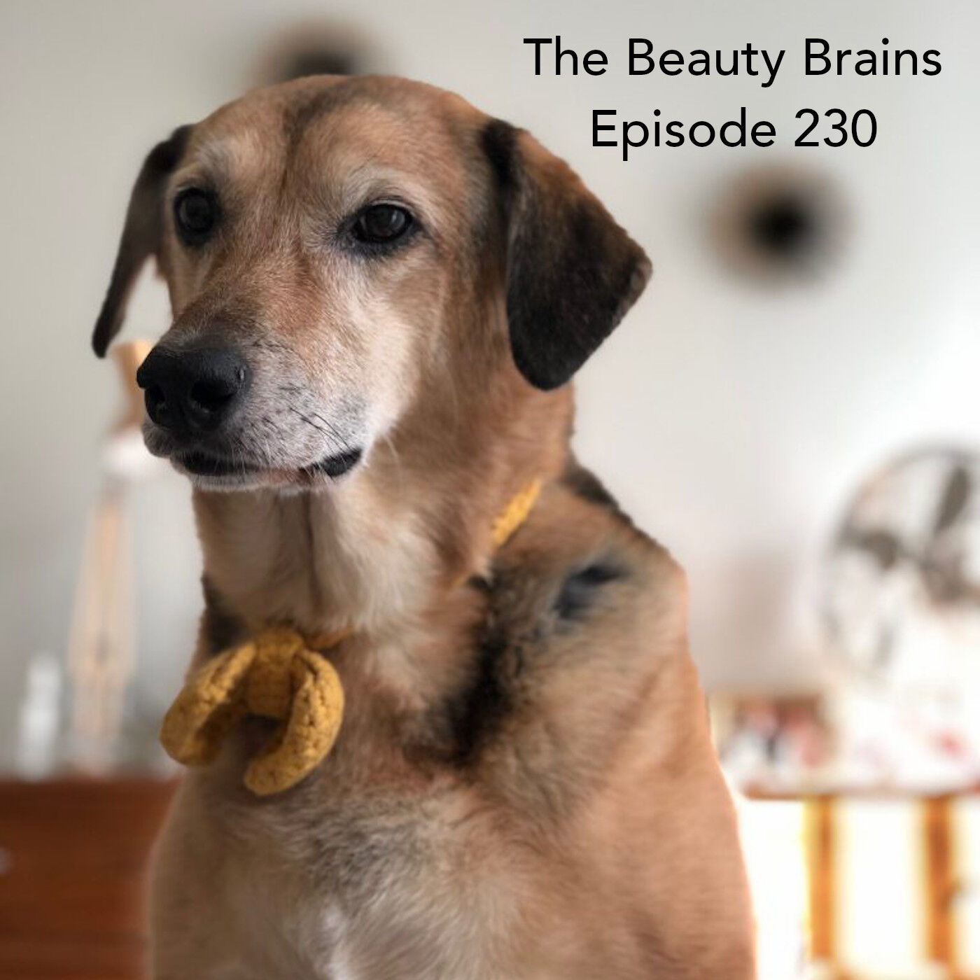 Are hypoallergenic cosmetics really allergen free? episode 230