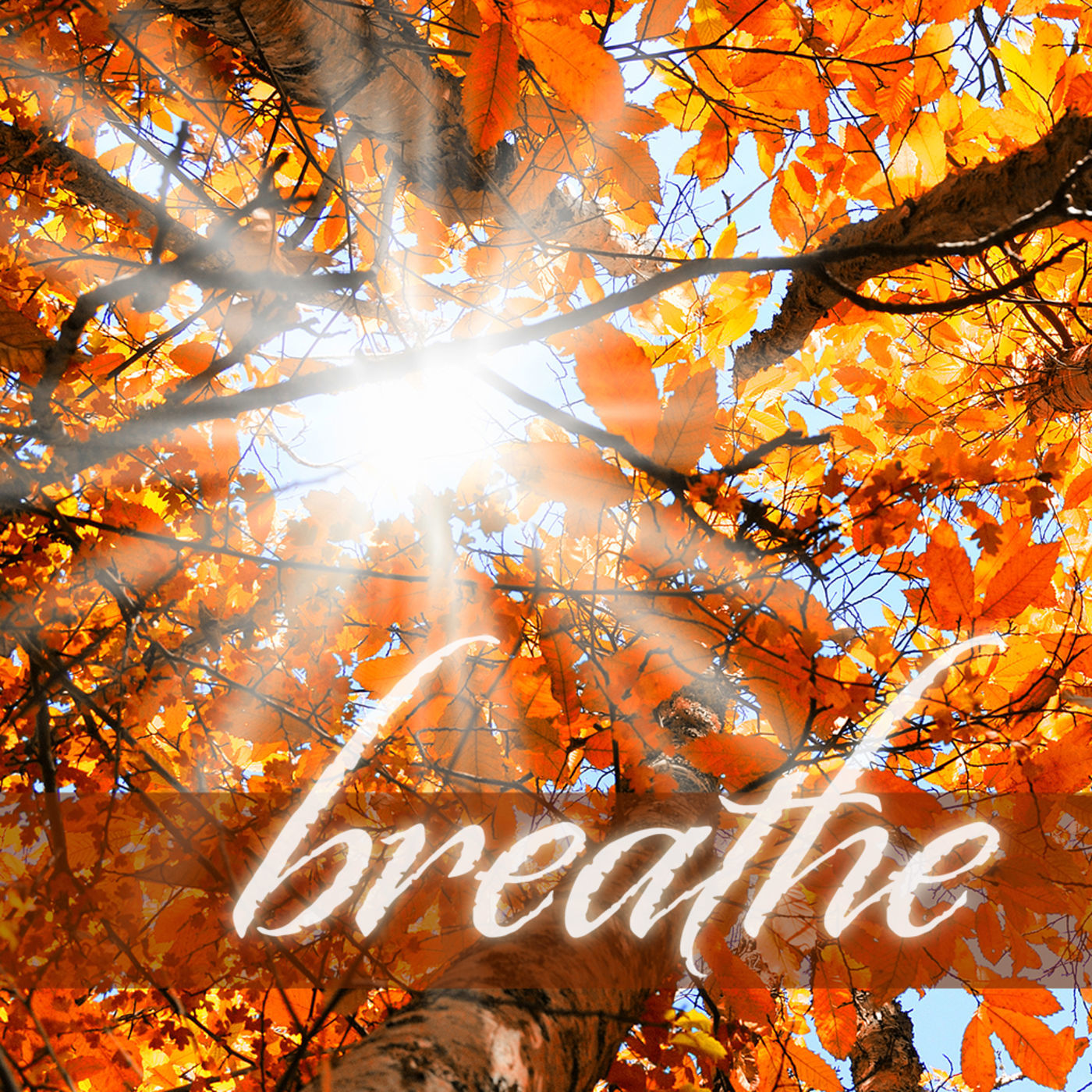Breathe: The Awakening (Mississauga)