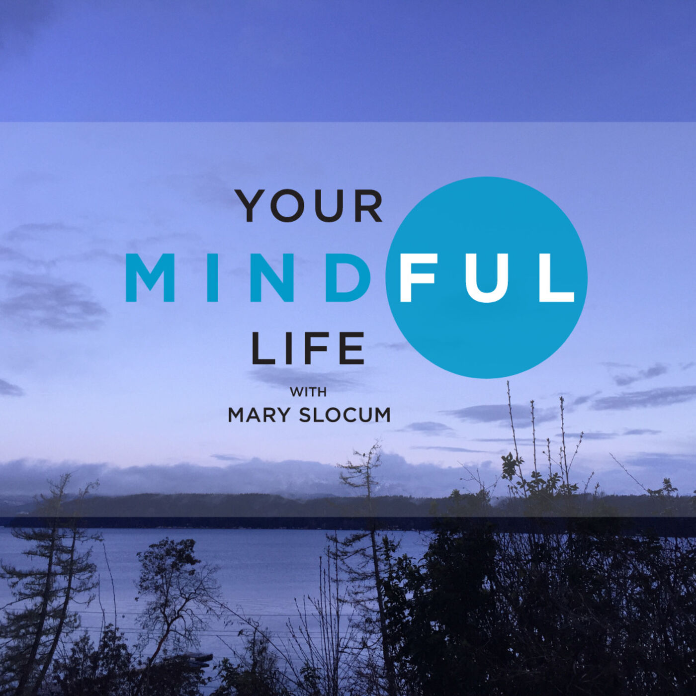 Your Mindful Life