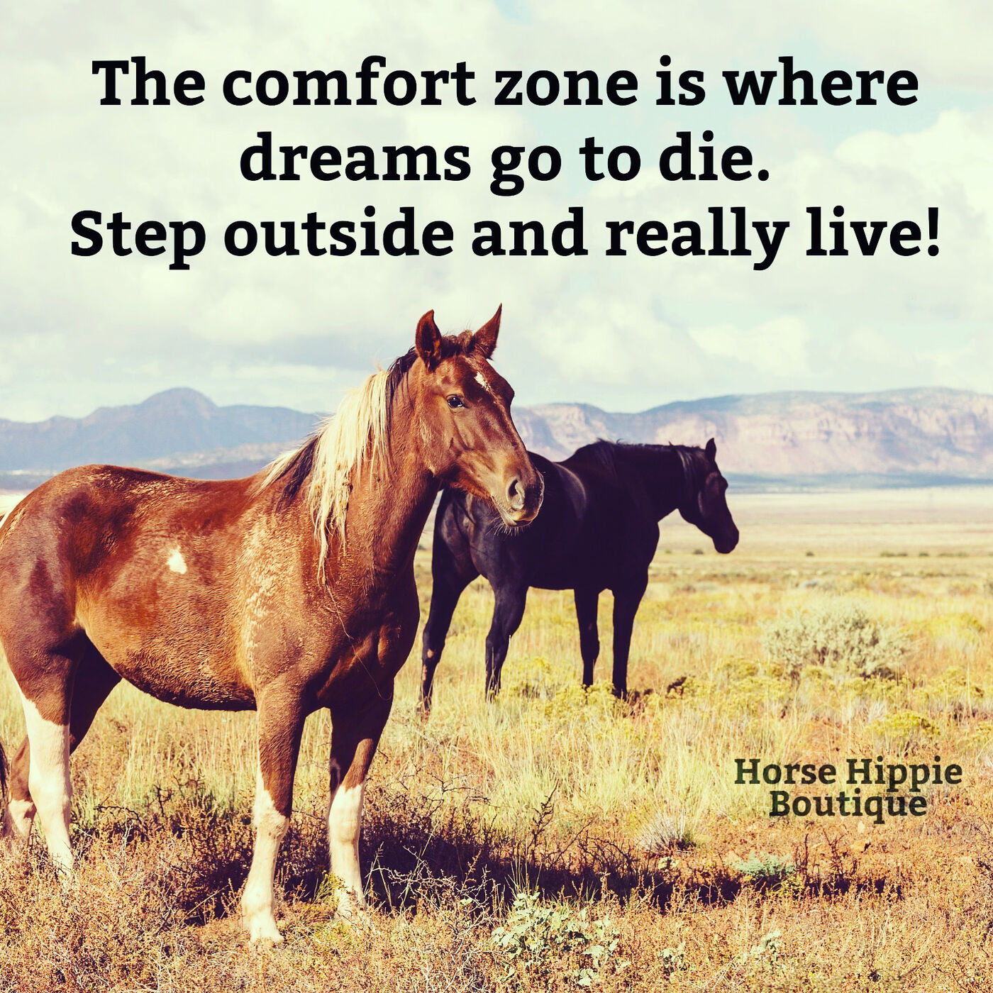 Comfort Zones