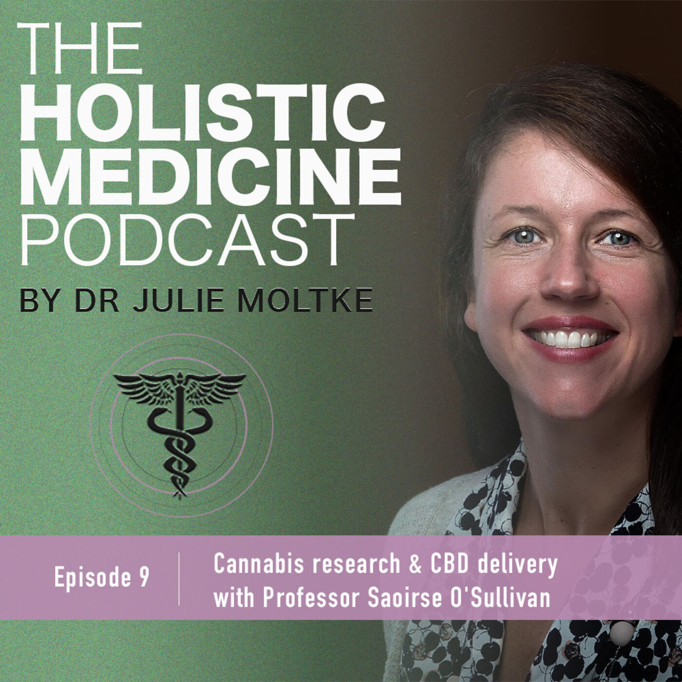 The Holistic Medicine Podcast by Dr Julie Moltke