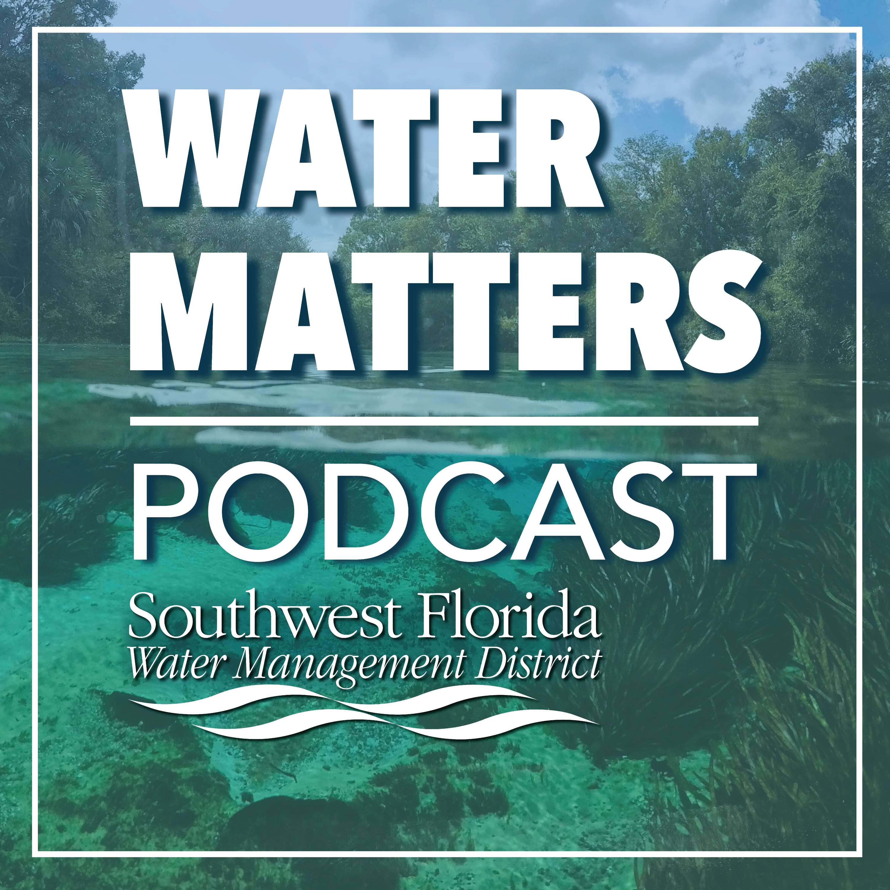 Water Matters Podcast podcast artwork