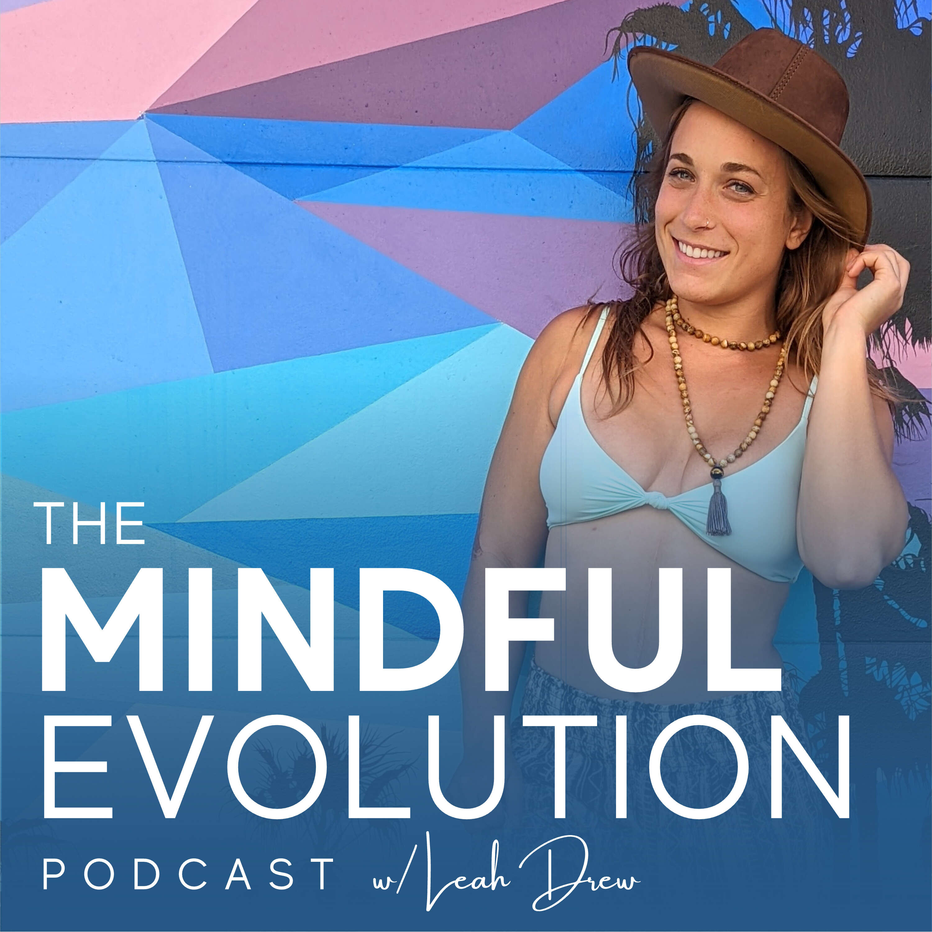 The Mindful Evolution Podcast podcast artwork