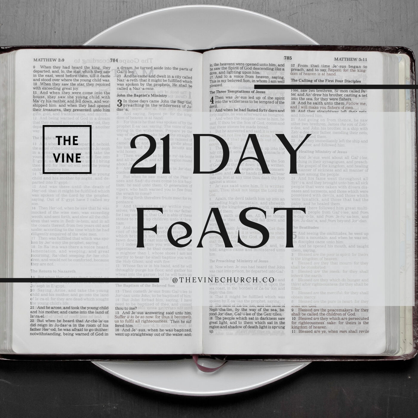 The FeAST podcast artwork
