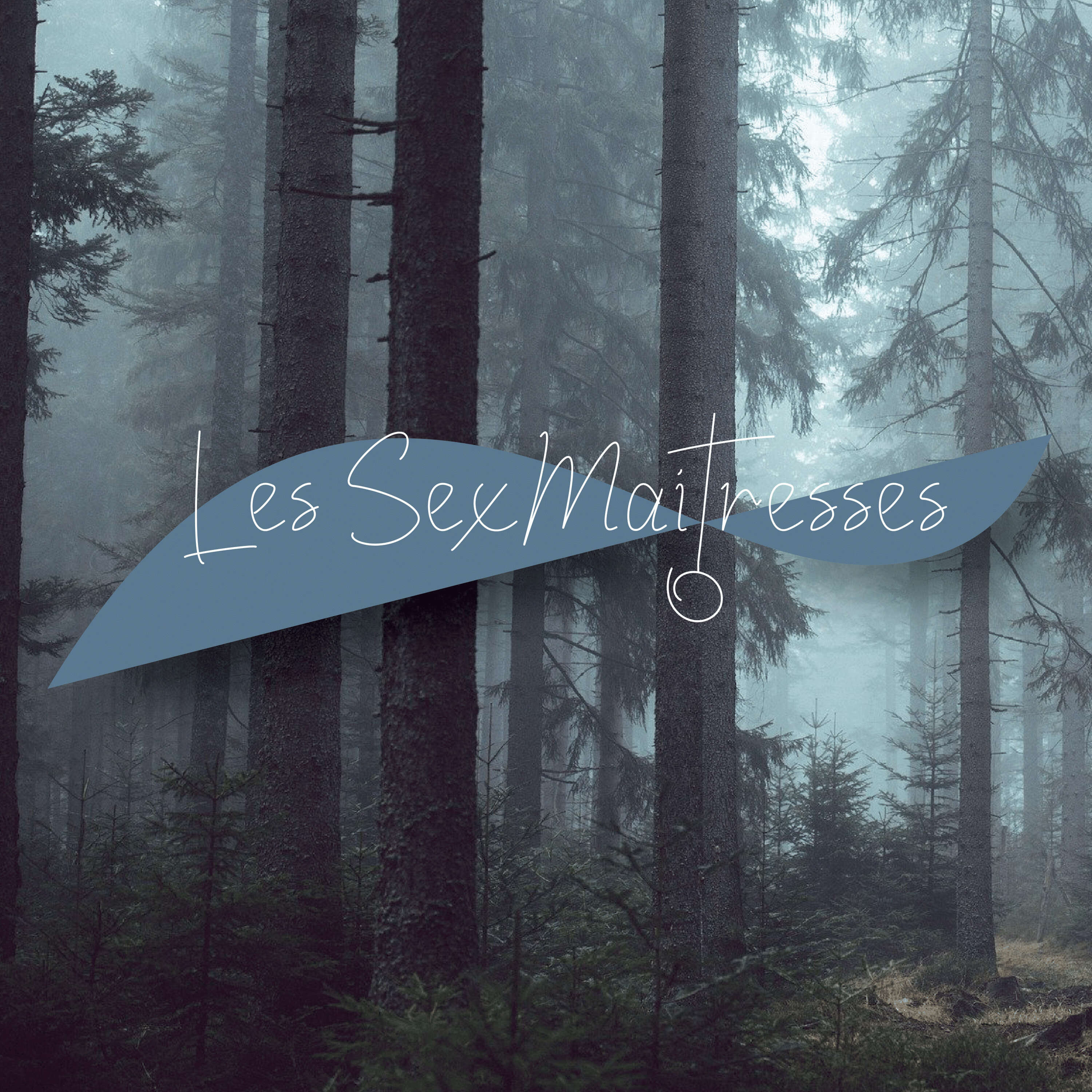 Les SexMaitresses cover