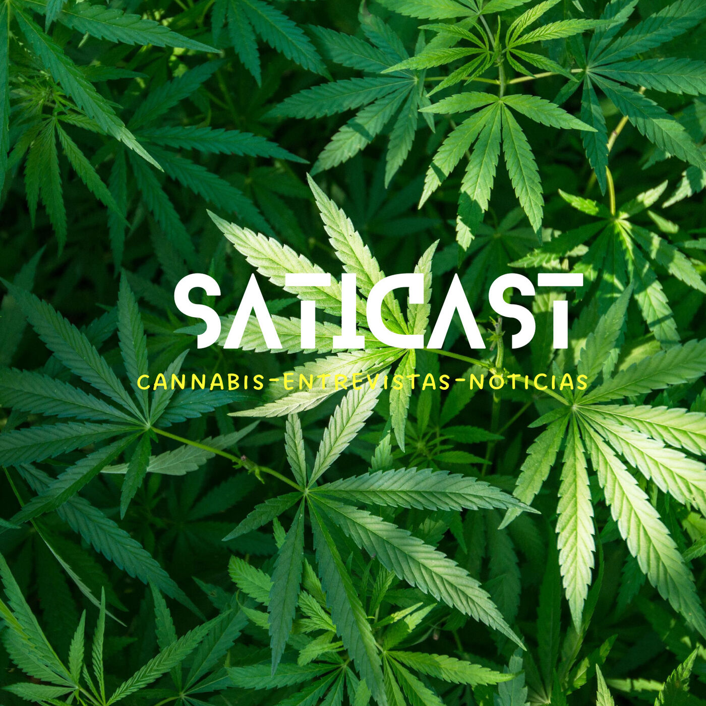 SatiBuds
