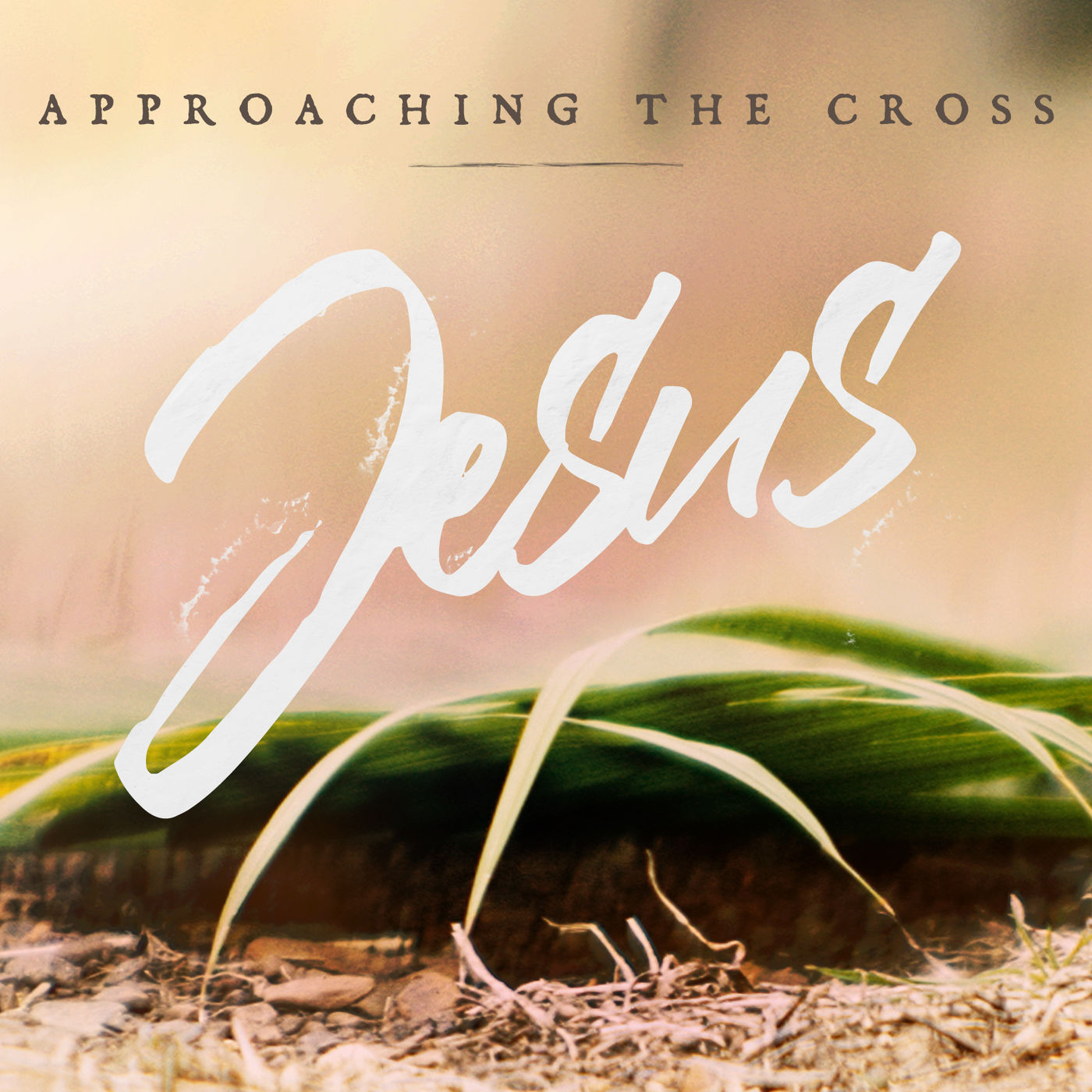 Jesus: Part 1- Approaching The Cross
