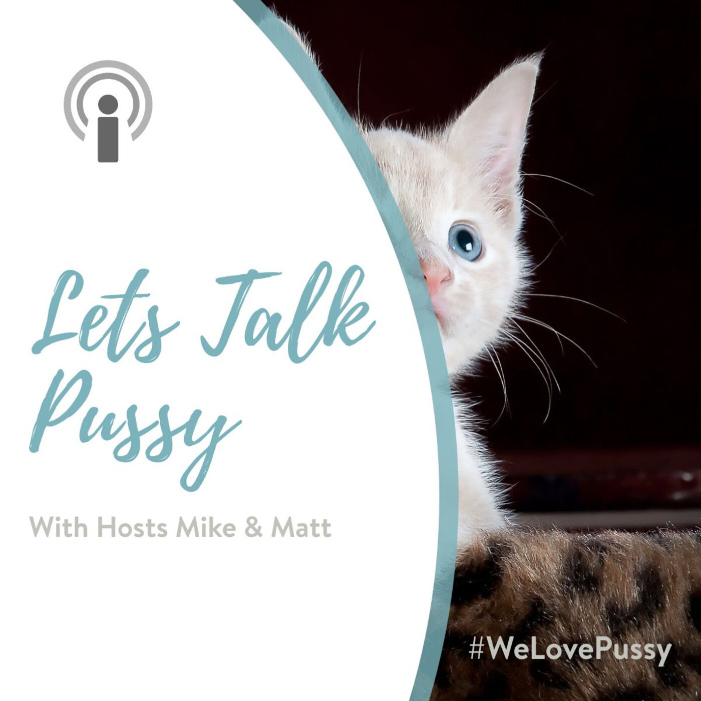 Lets Talk Pussy podcast artwork
