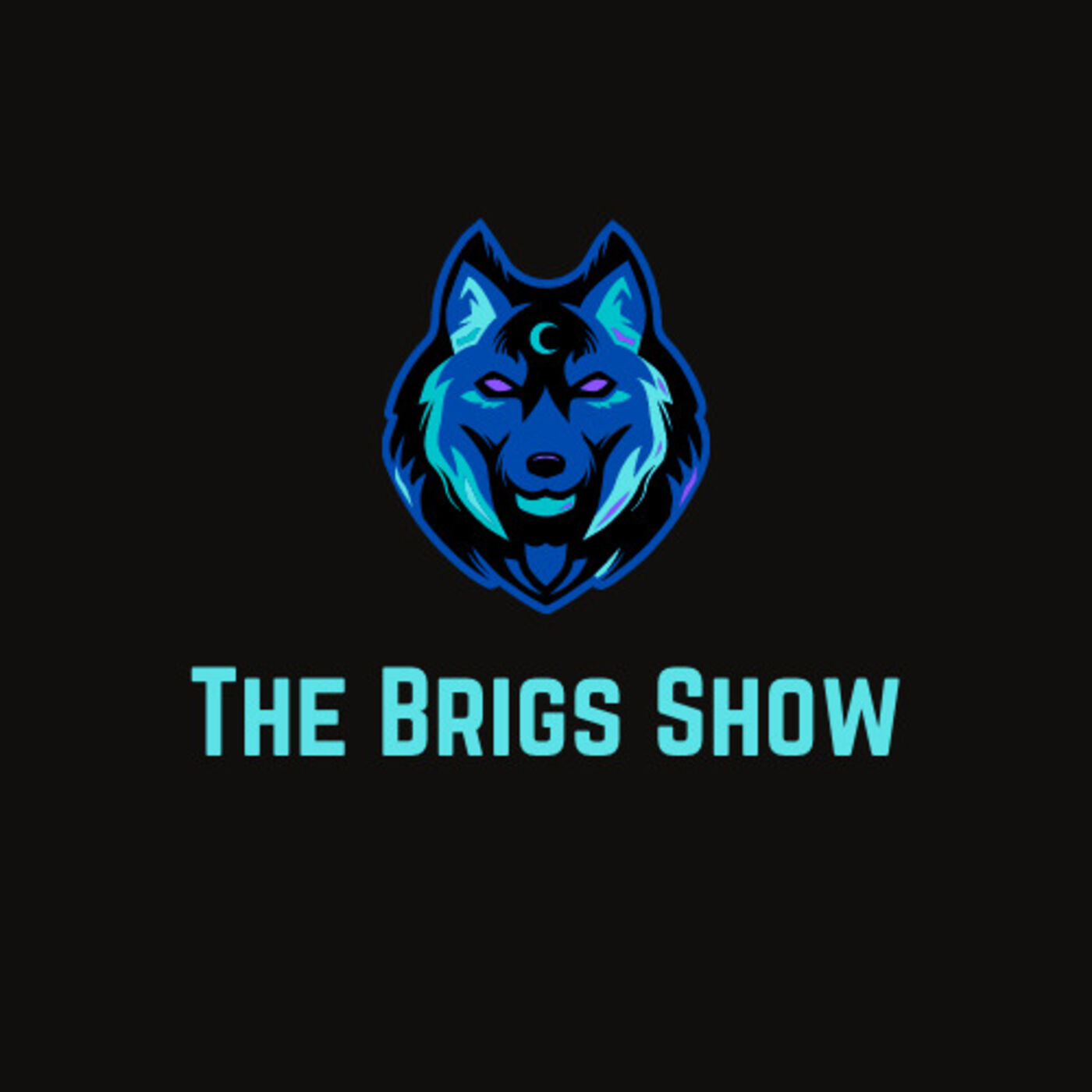 The Brigs Show