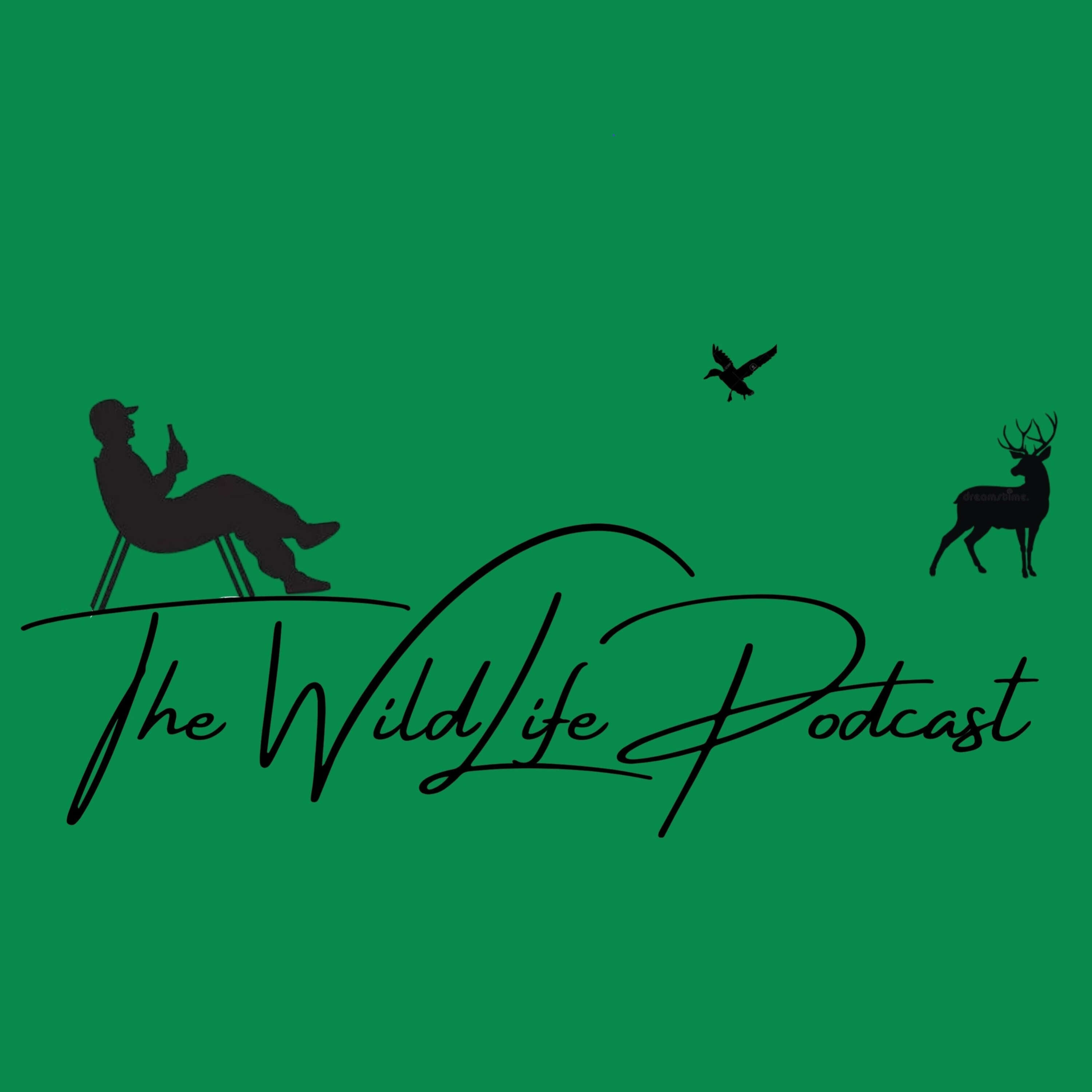 The WildLife Podcast