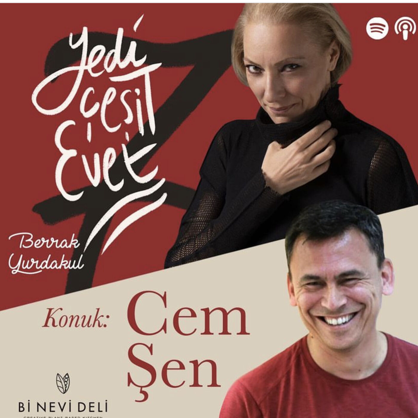 Yedi Çeşit Evet