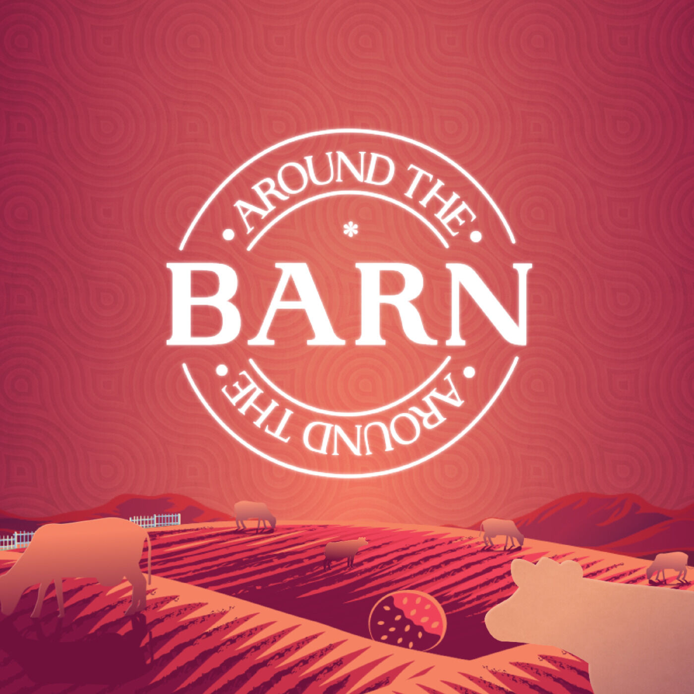 IDW Around the Barn