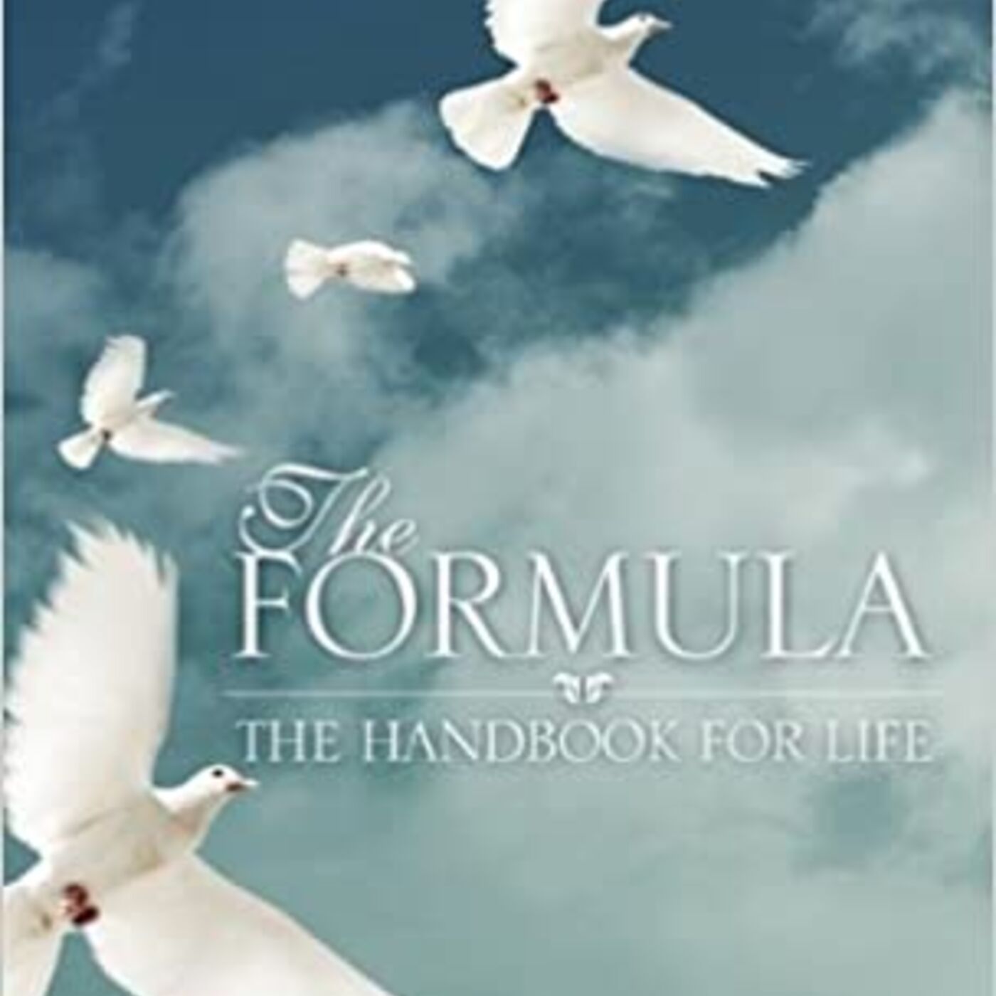 The Oracle Infinite Wisdom