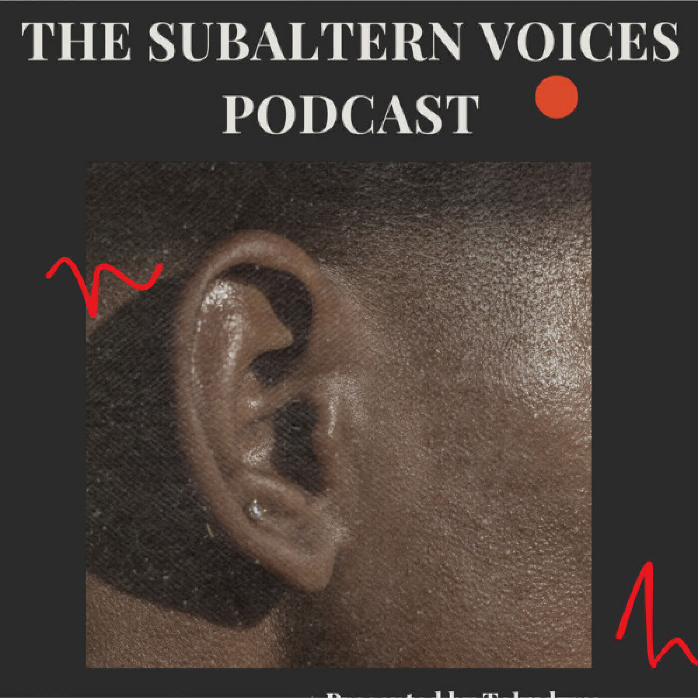Subaltern Voices: A Zimsphere Podcast podcast artwork
