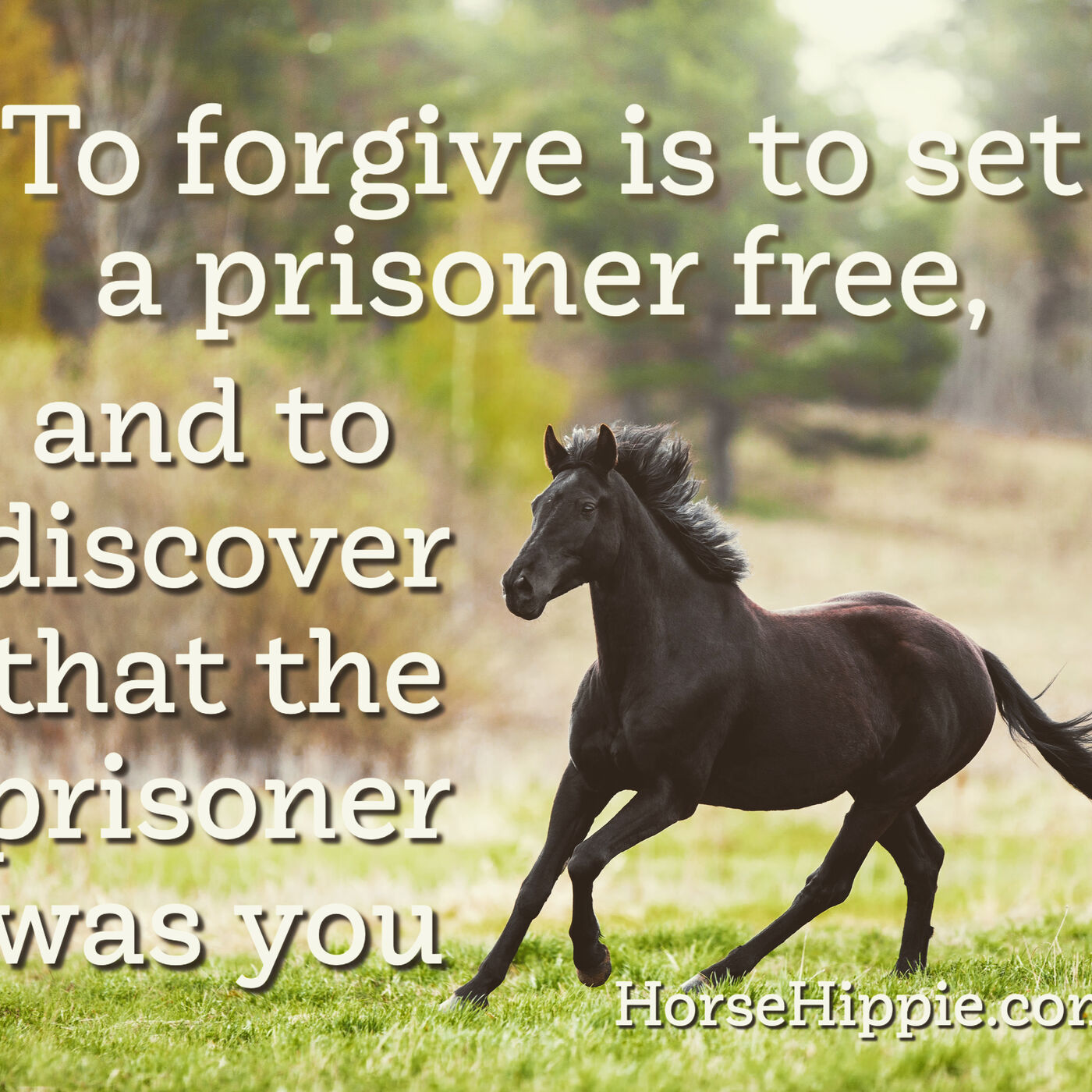 The Lesson of Forgiveness