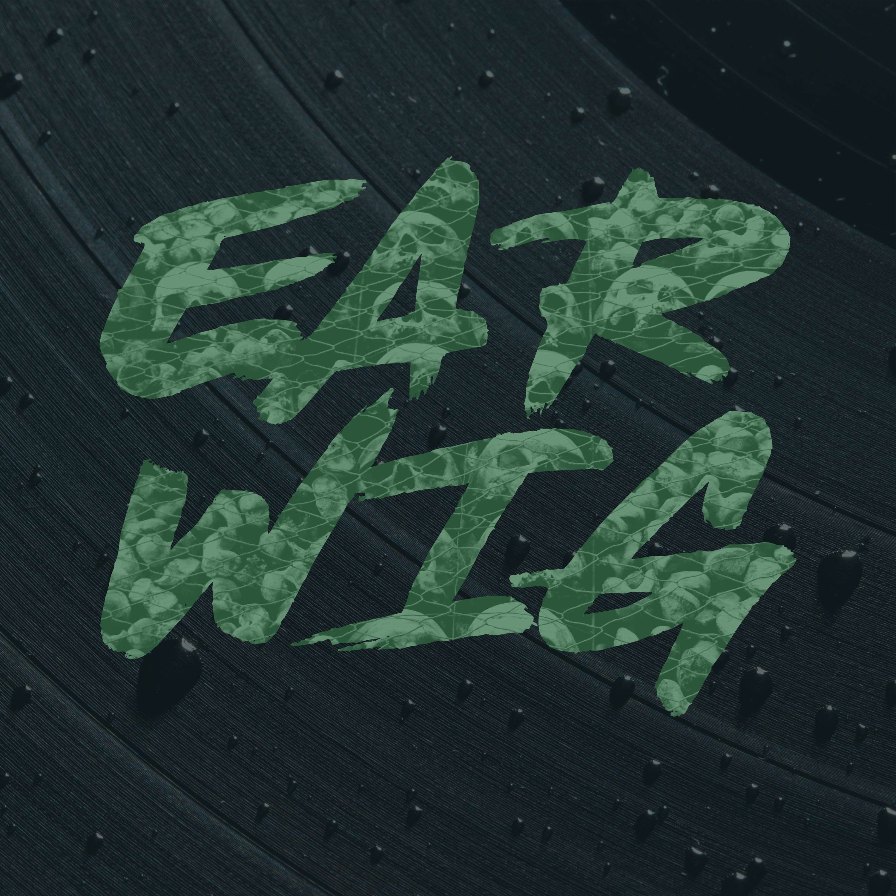 Earwig