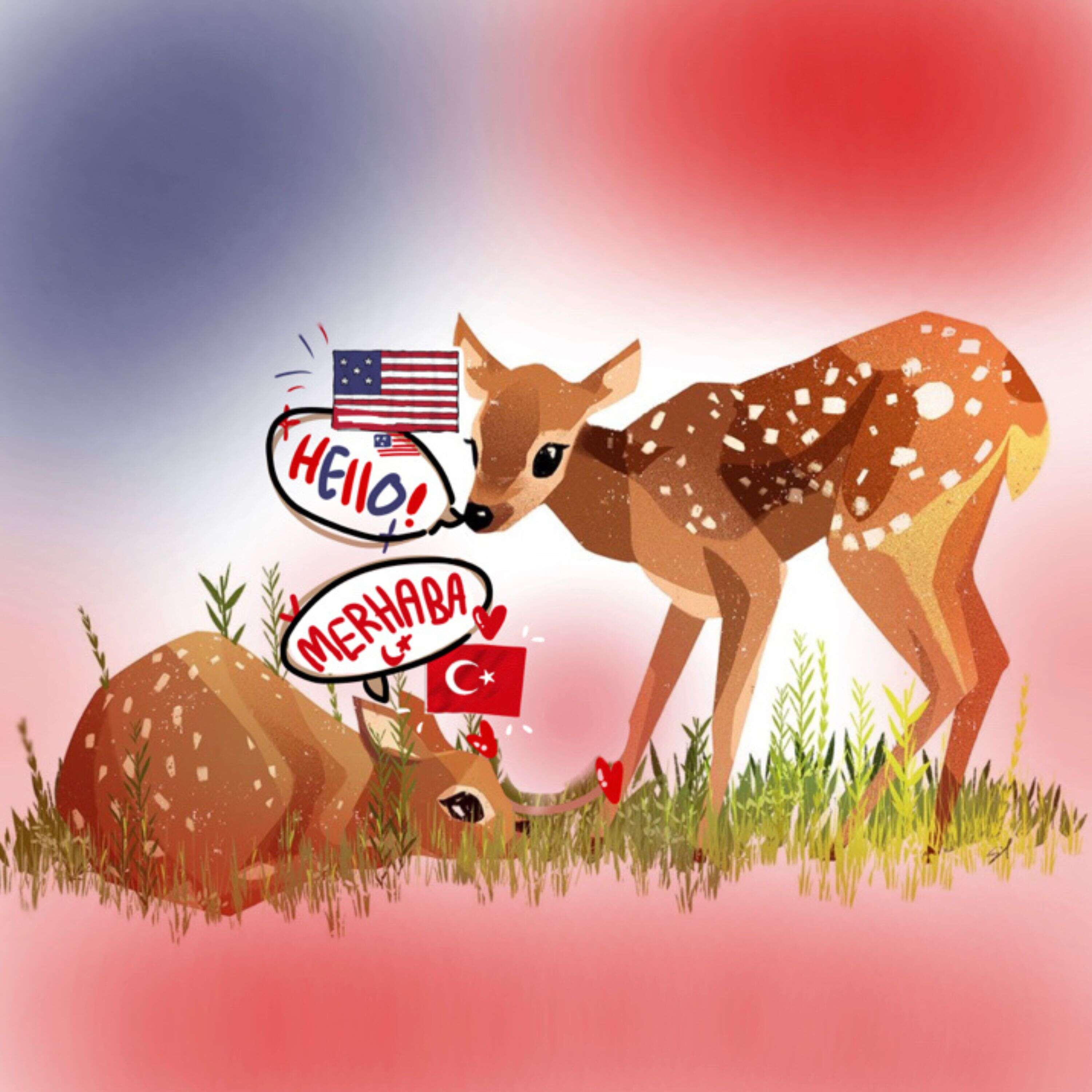 Ceylan's Podcast podcast artwork
