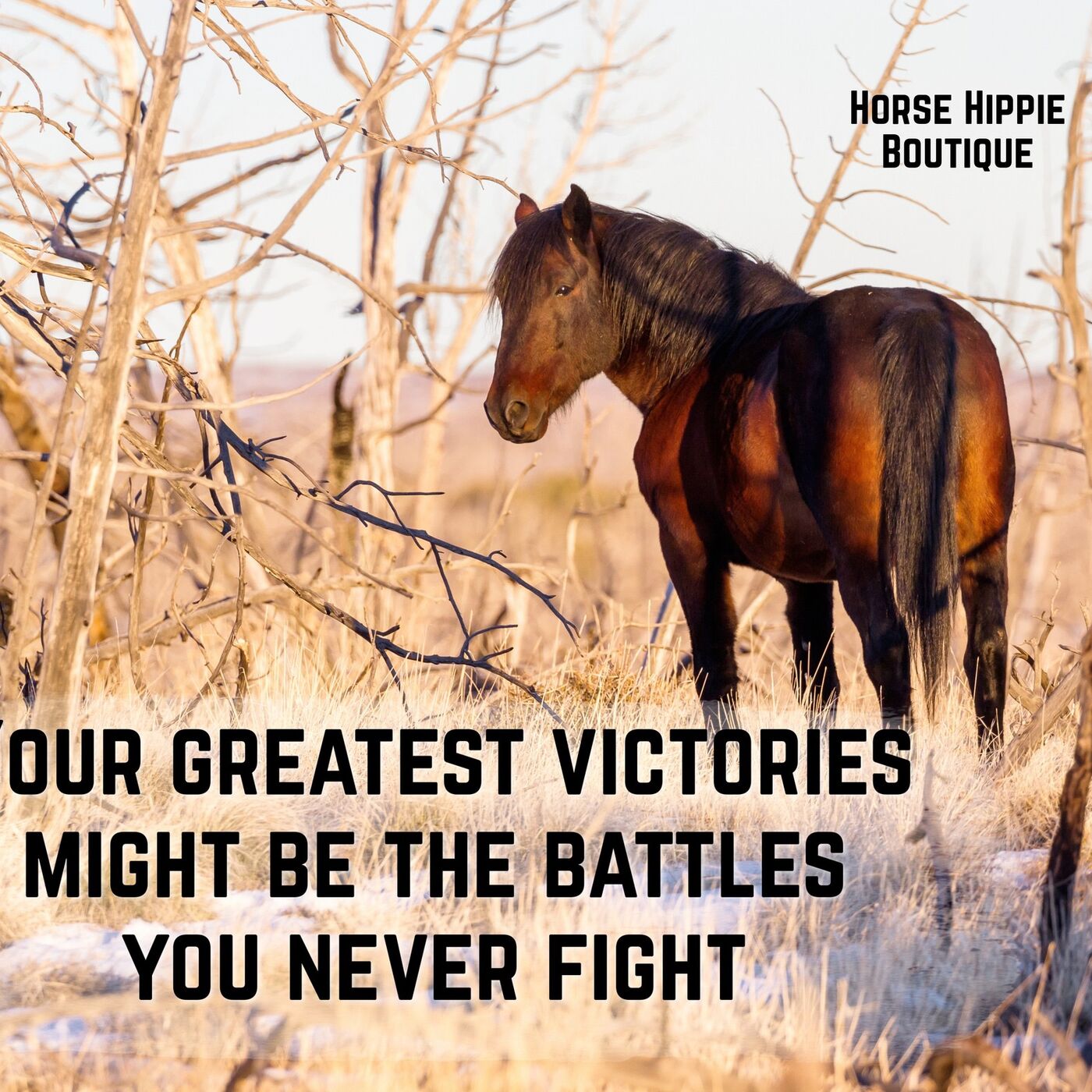 Battles You Never Fight