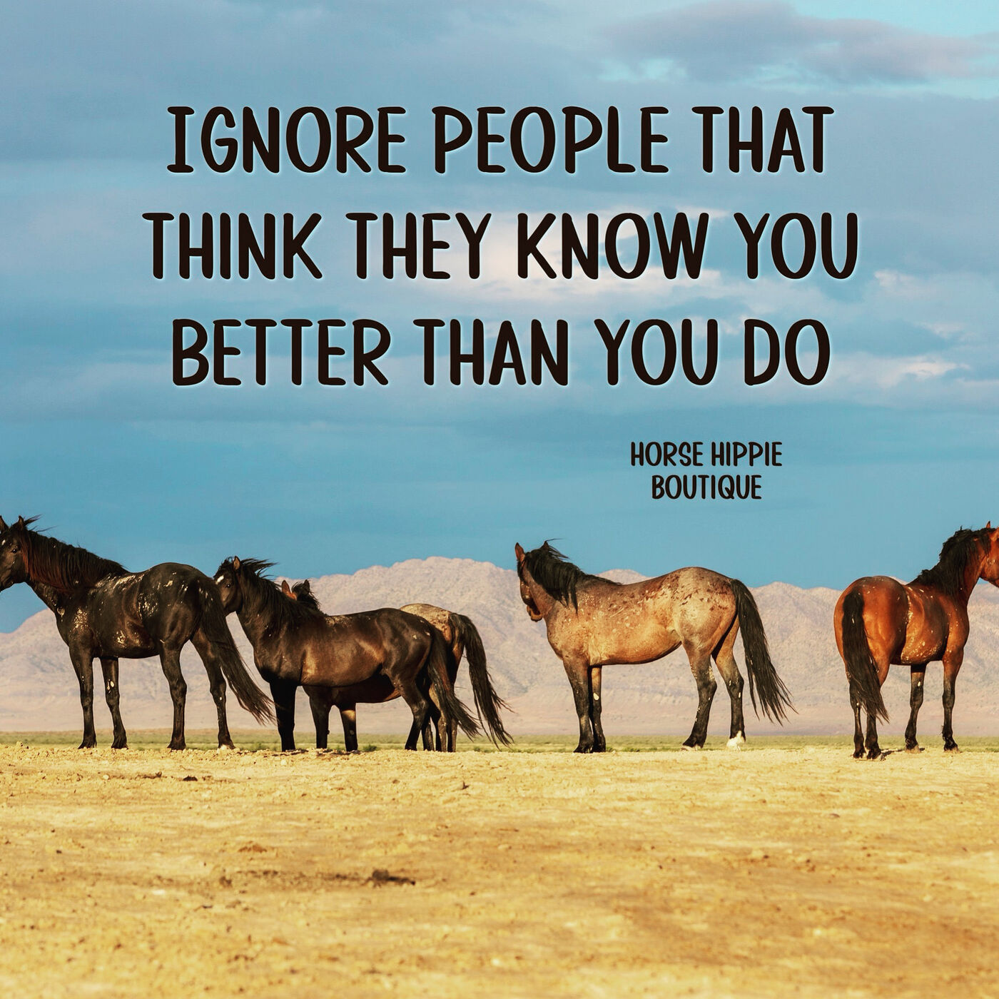 Ignore the Haters