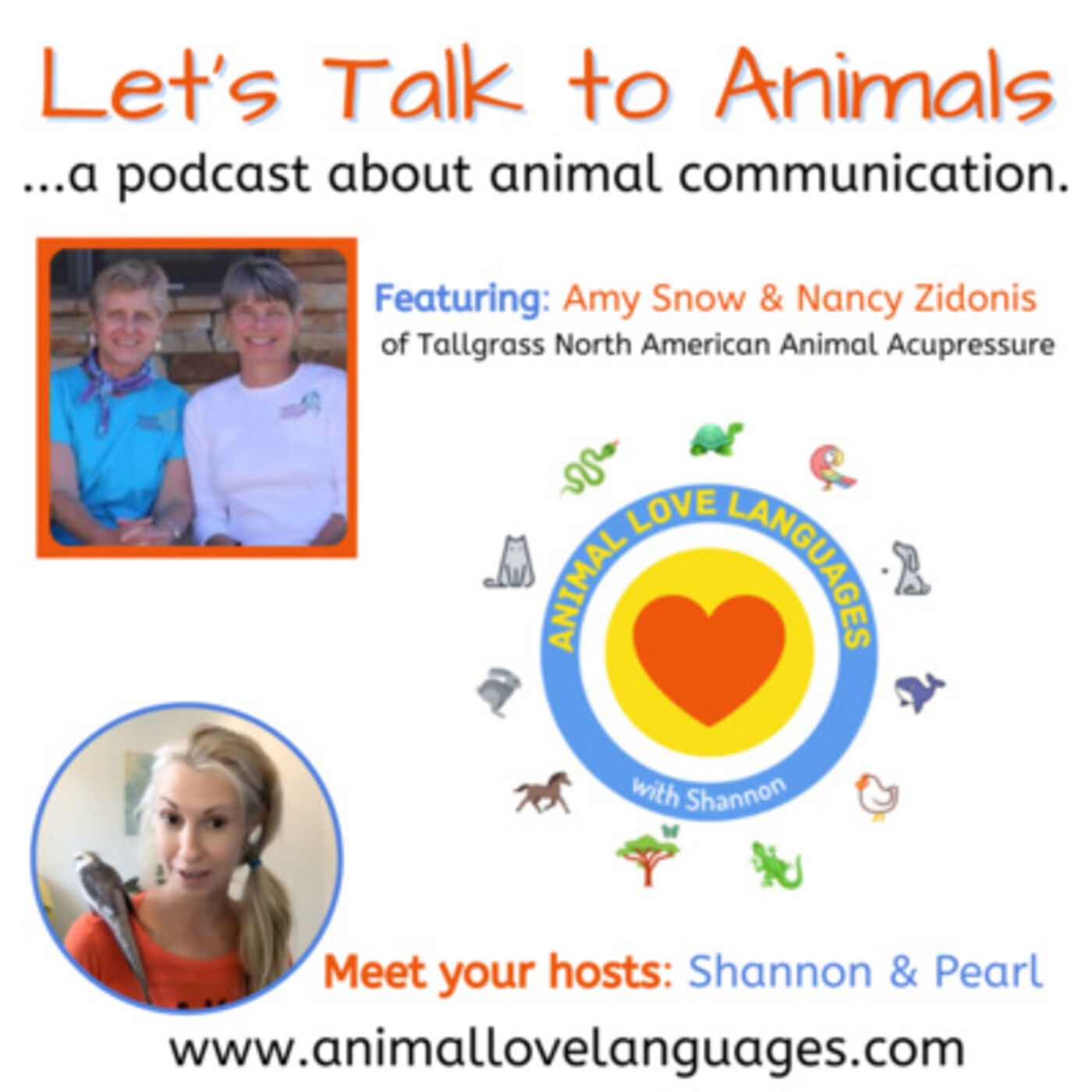 Let\'s Talk to Animals