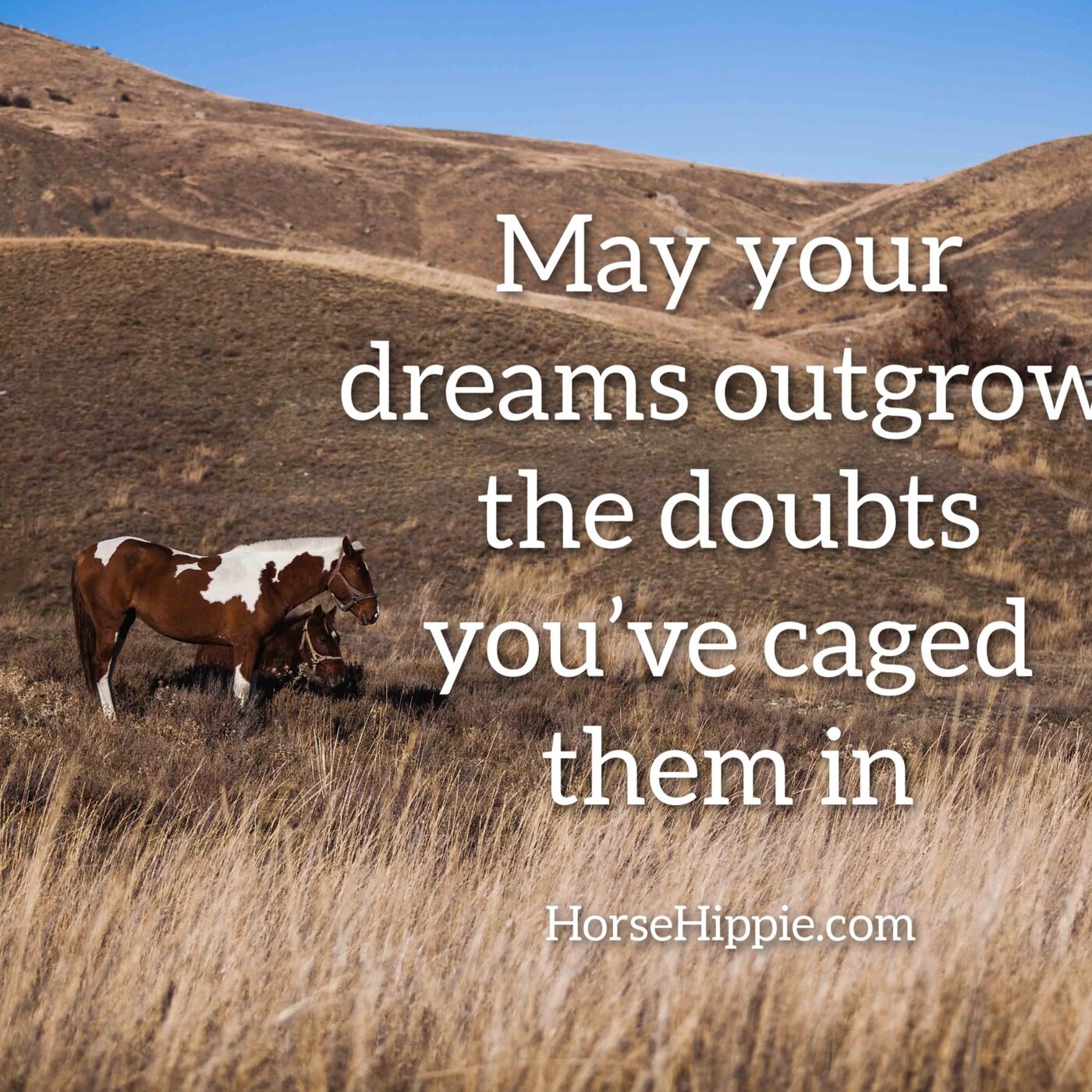Doubts