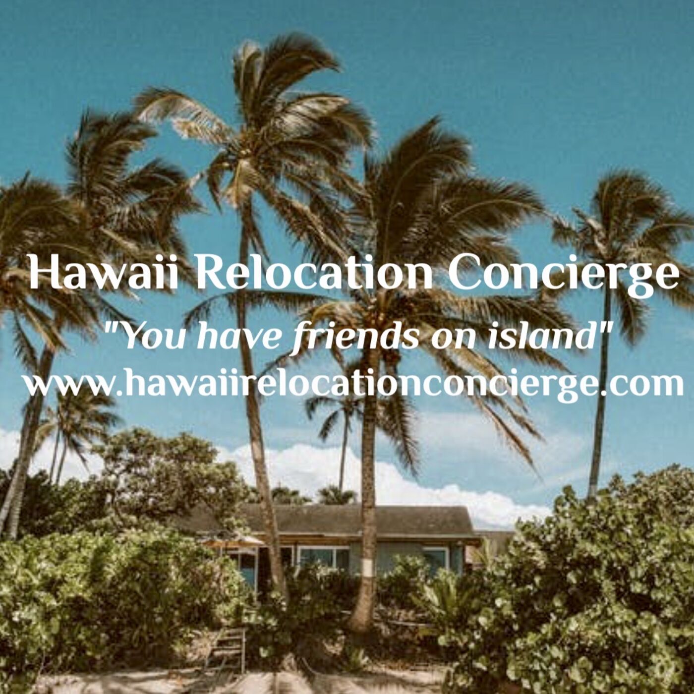 "Talking Story with Big Island Business'"