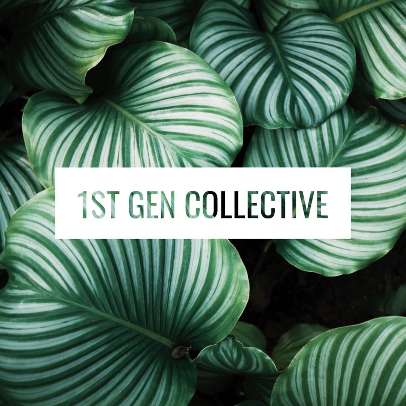 The 1st Gen Collective