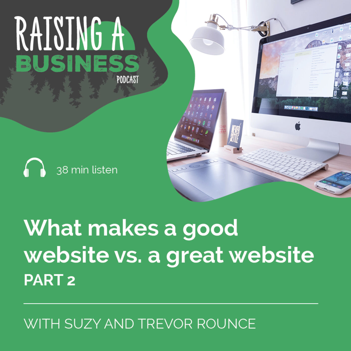RAB 009 What makes a good website vs. a great website - part 2