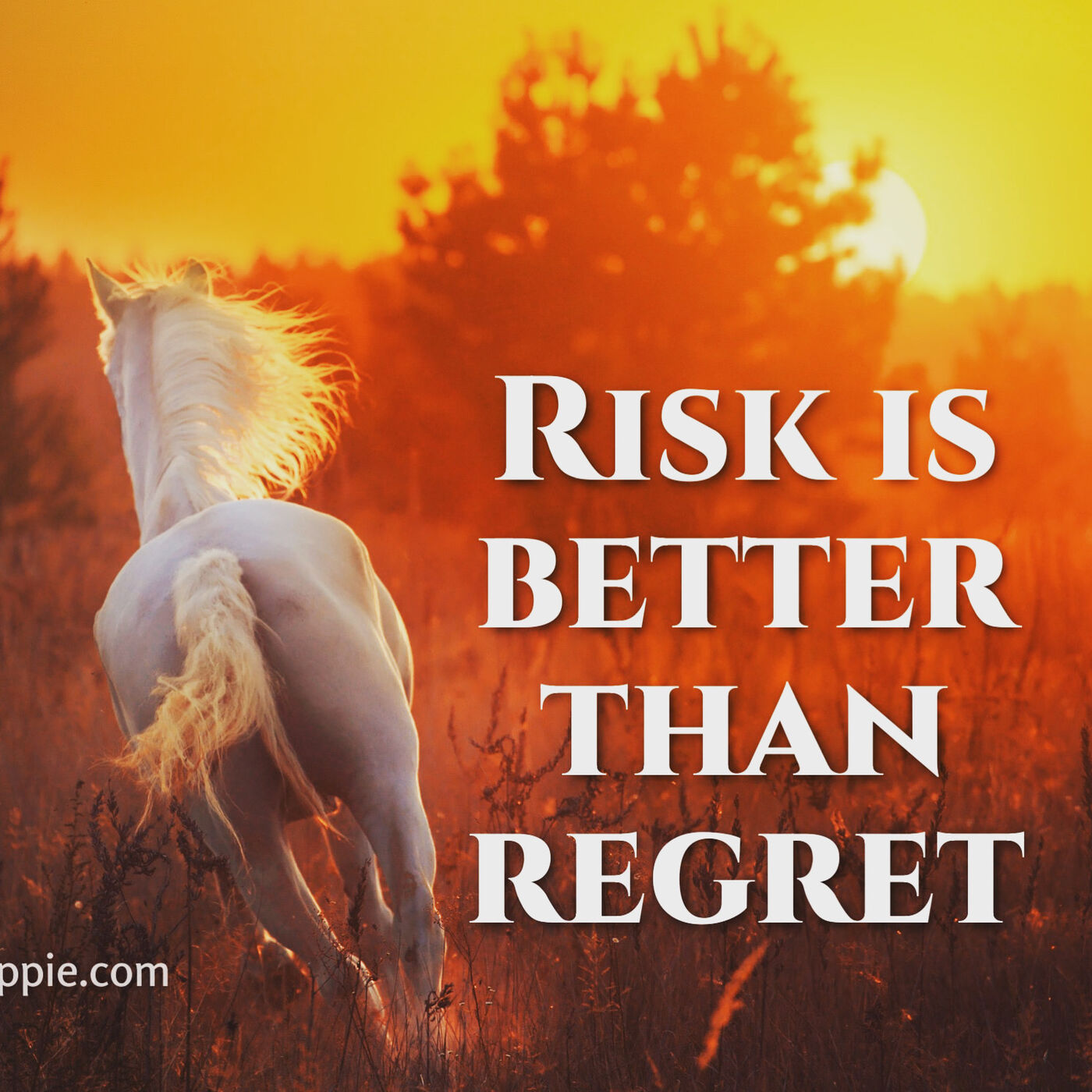 Risk or Regret?