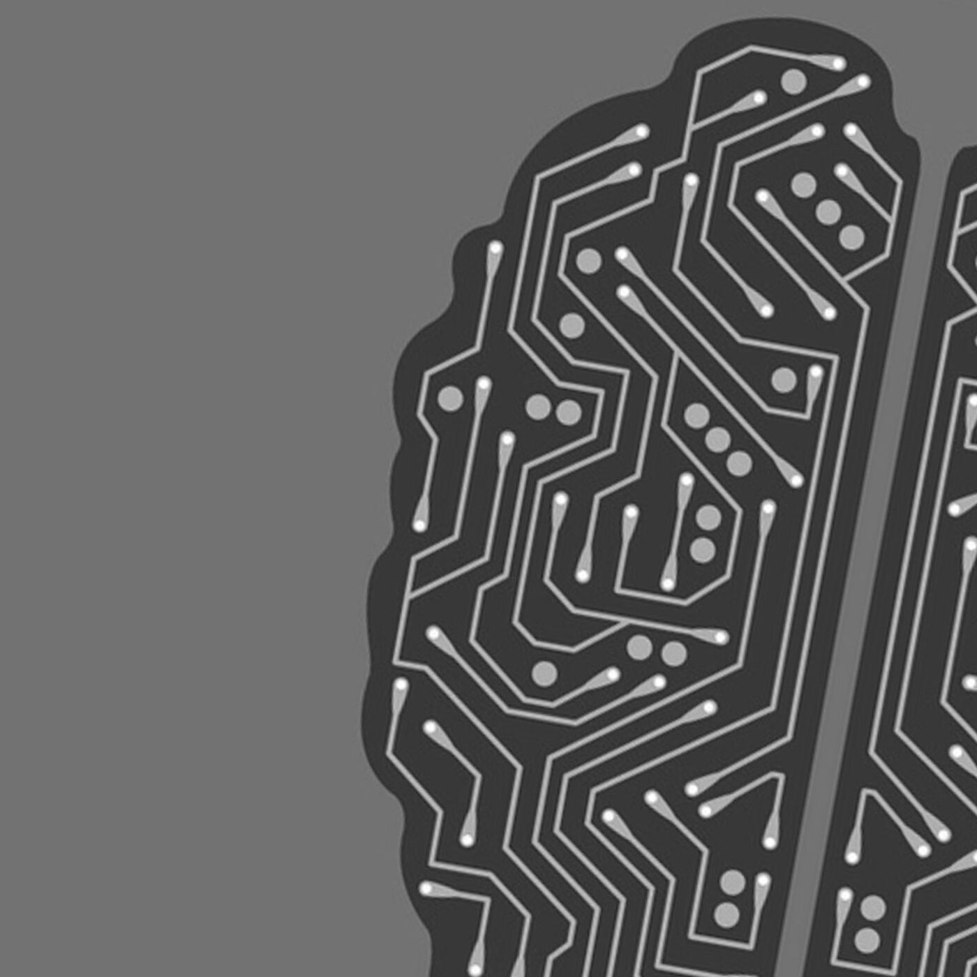 Deep Learning: Miracle or Snake Oil?