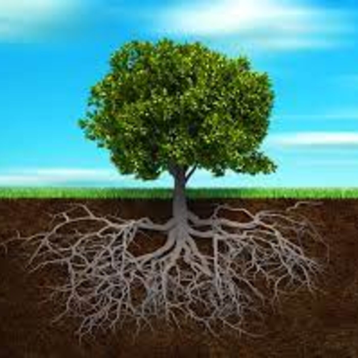 2711 Daily Torah Schmooze