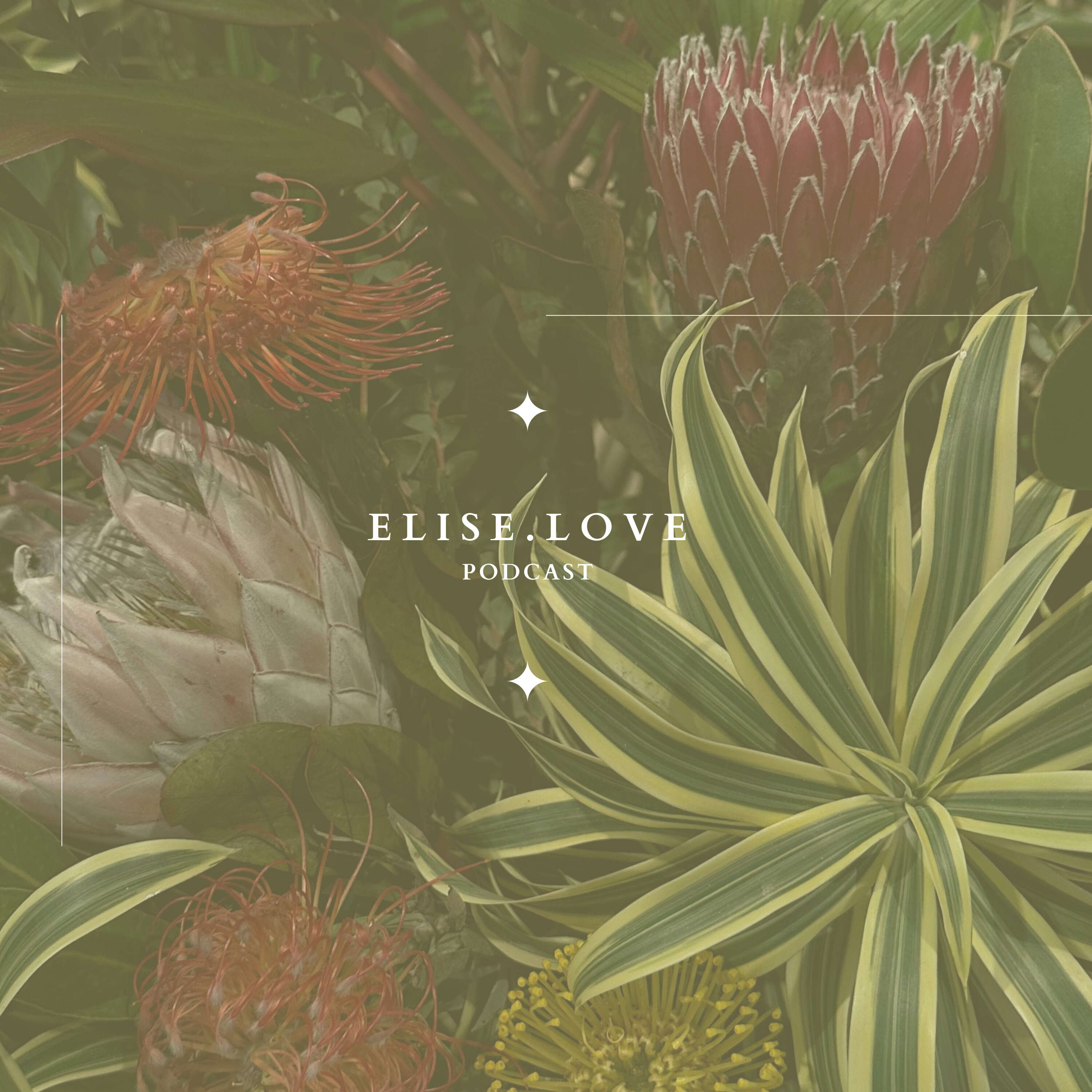 The ELISE.LOVE Podcast
