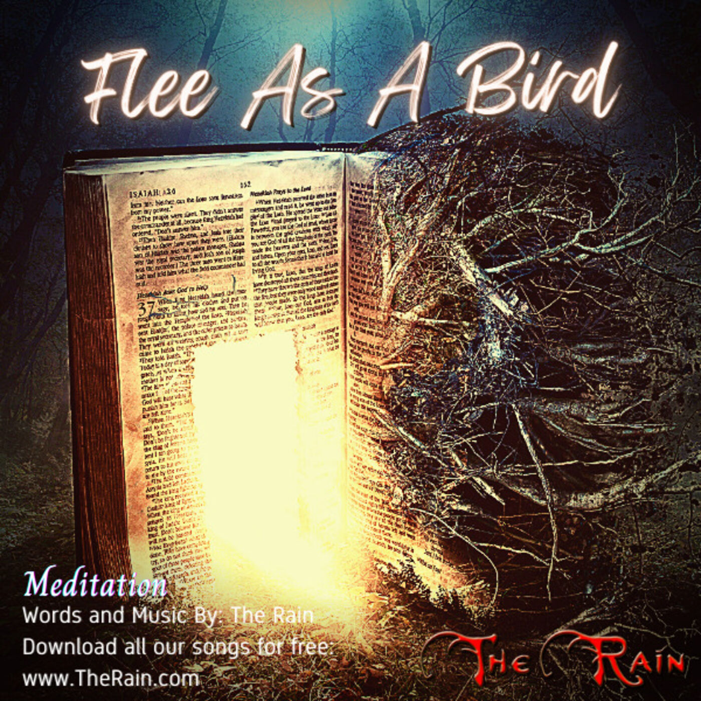 Flee As A Bird - Meditation