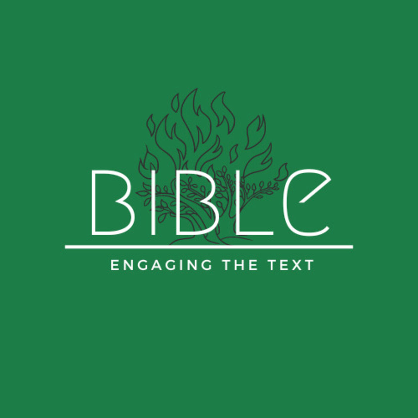 Bible: Engaging the Text