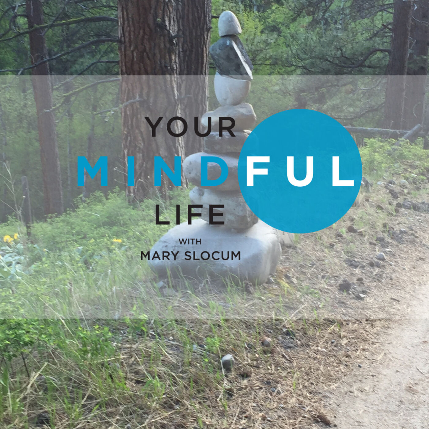 Your Mindful Life