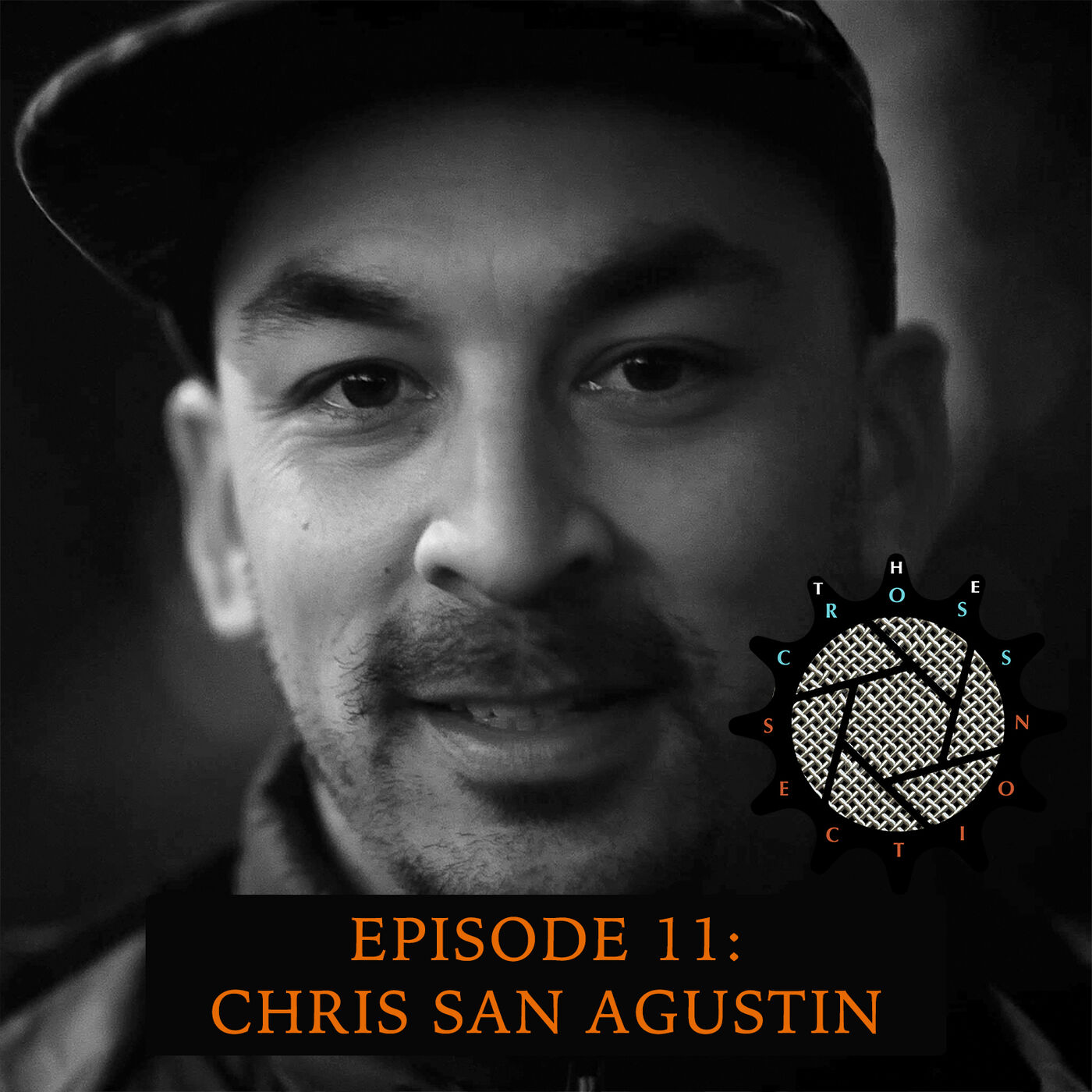 The Cross Section Podcast