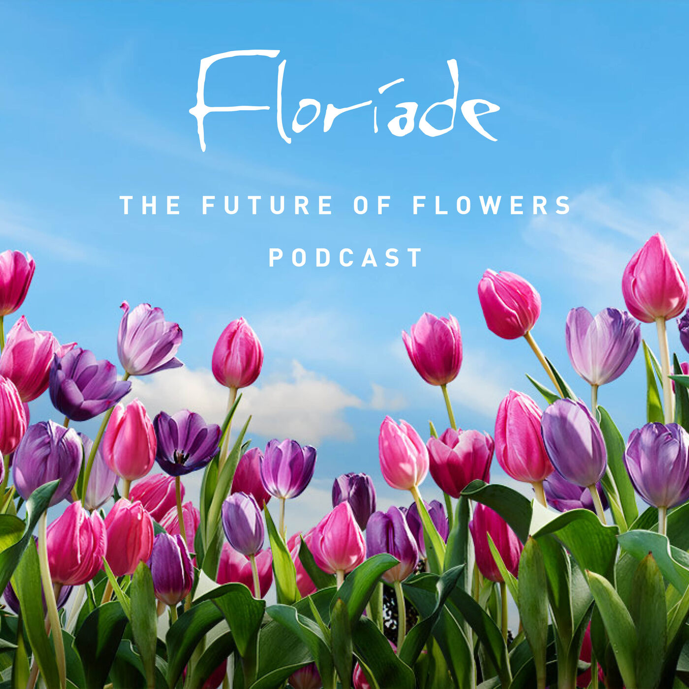 Floriade: Reimagined