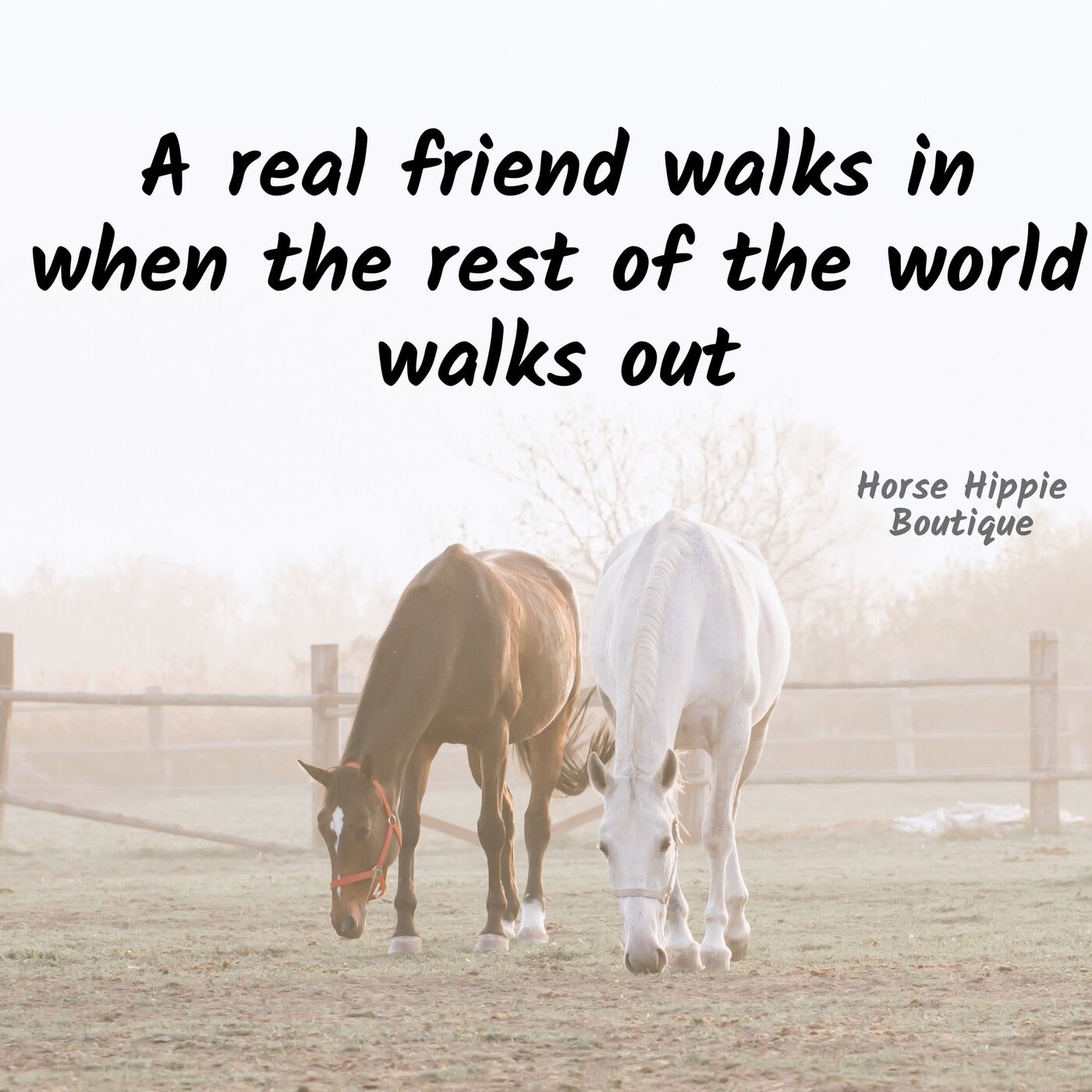 The Gift of Friendship