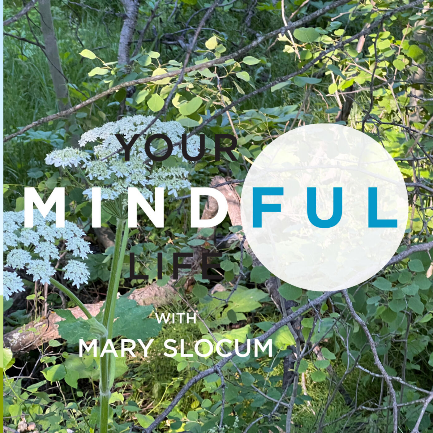 Your Mindful Life
